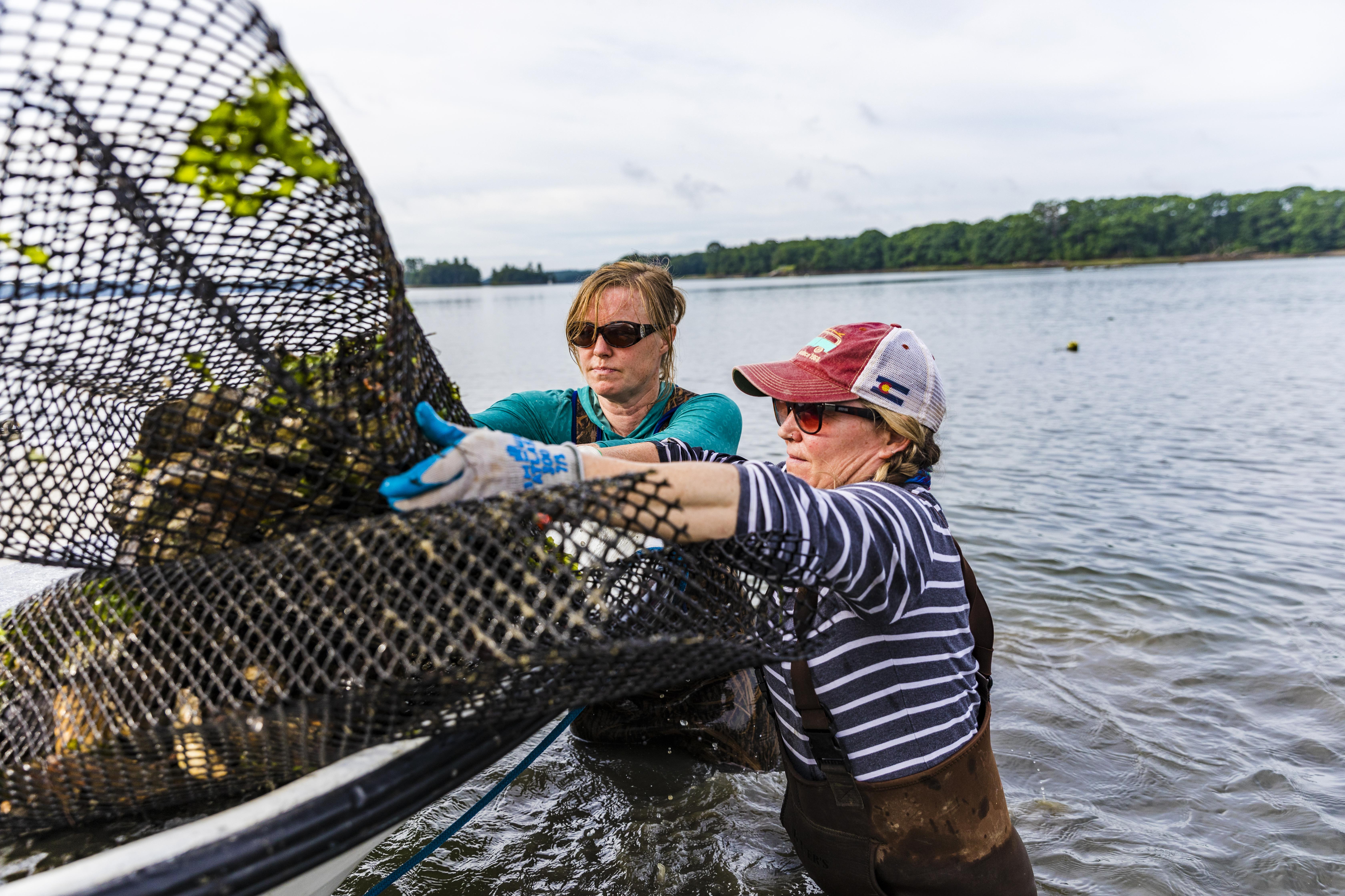 Two women in waders handling cages of oysters on a boat.