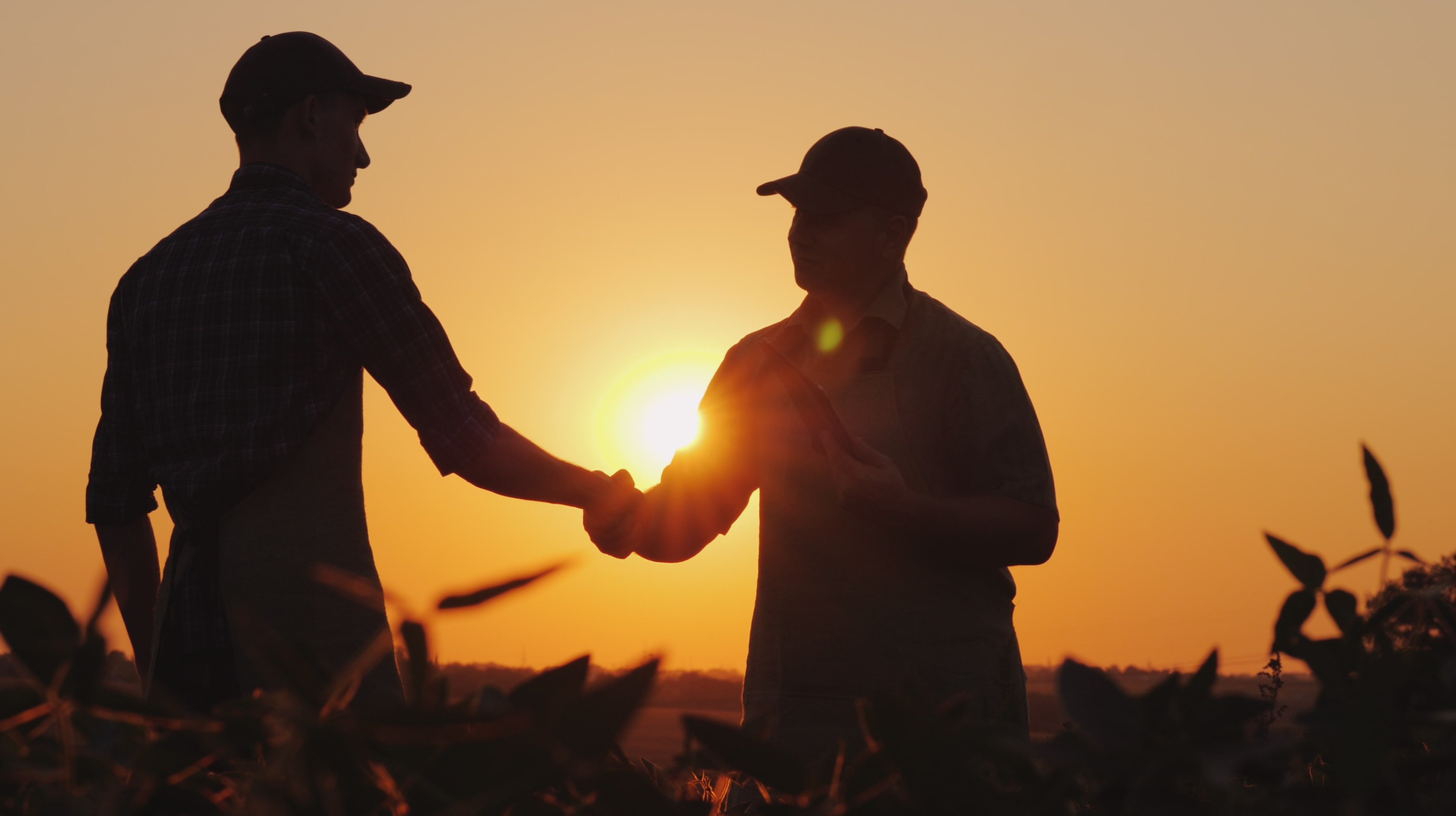 Two men in a farm field. Improved soil health. Everyone profits. Everyone thrives.