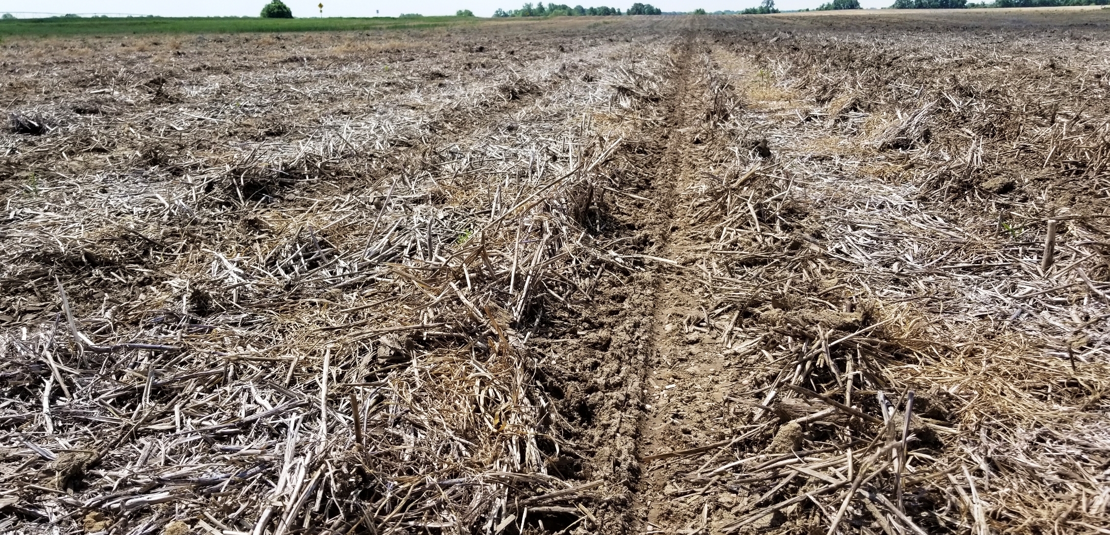 A brown farm field of dried up crops lays dormant before new planting.