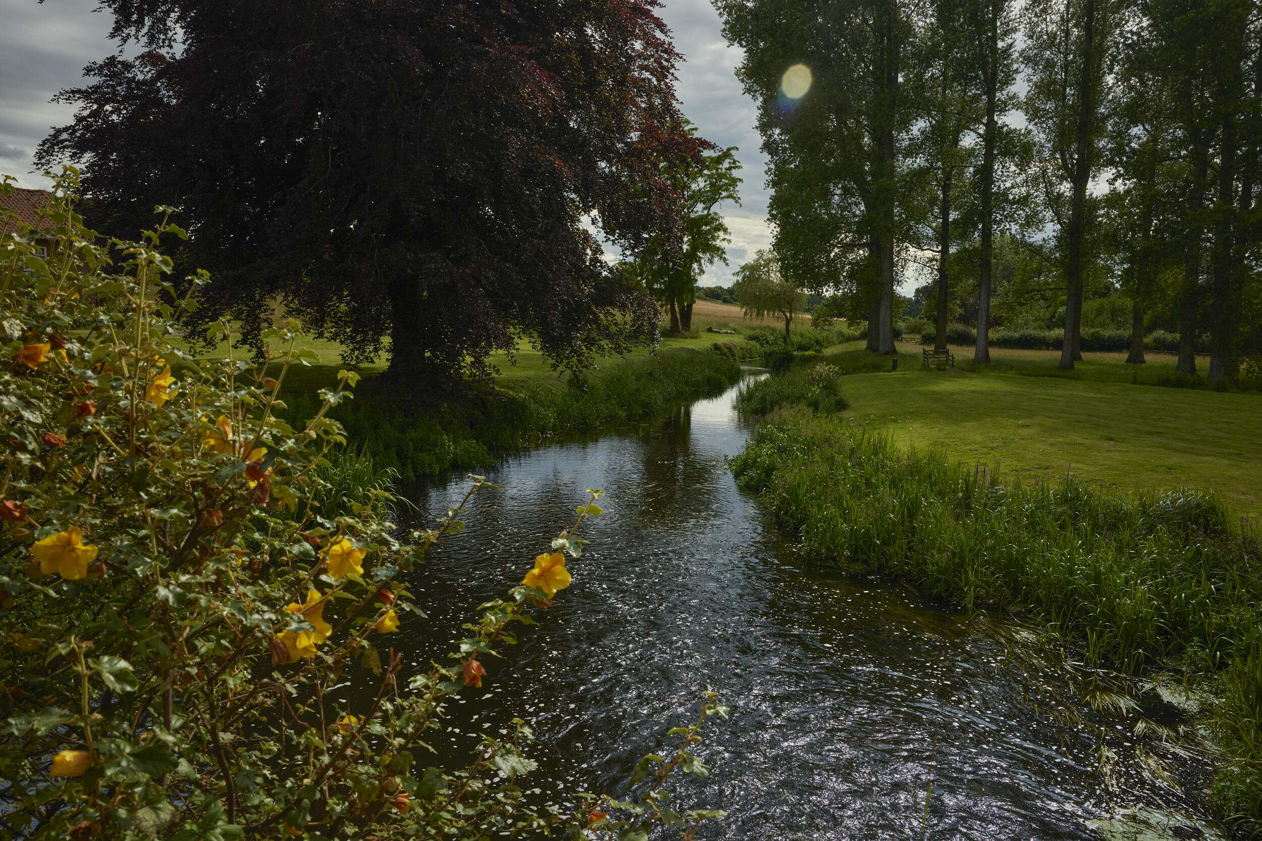 A chalk stream at a watermill in Norfolk, England.
