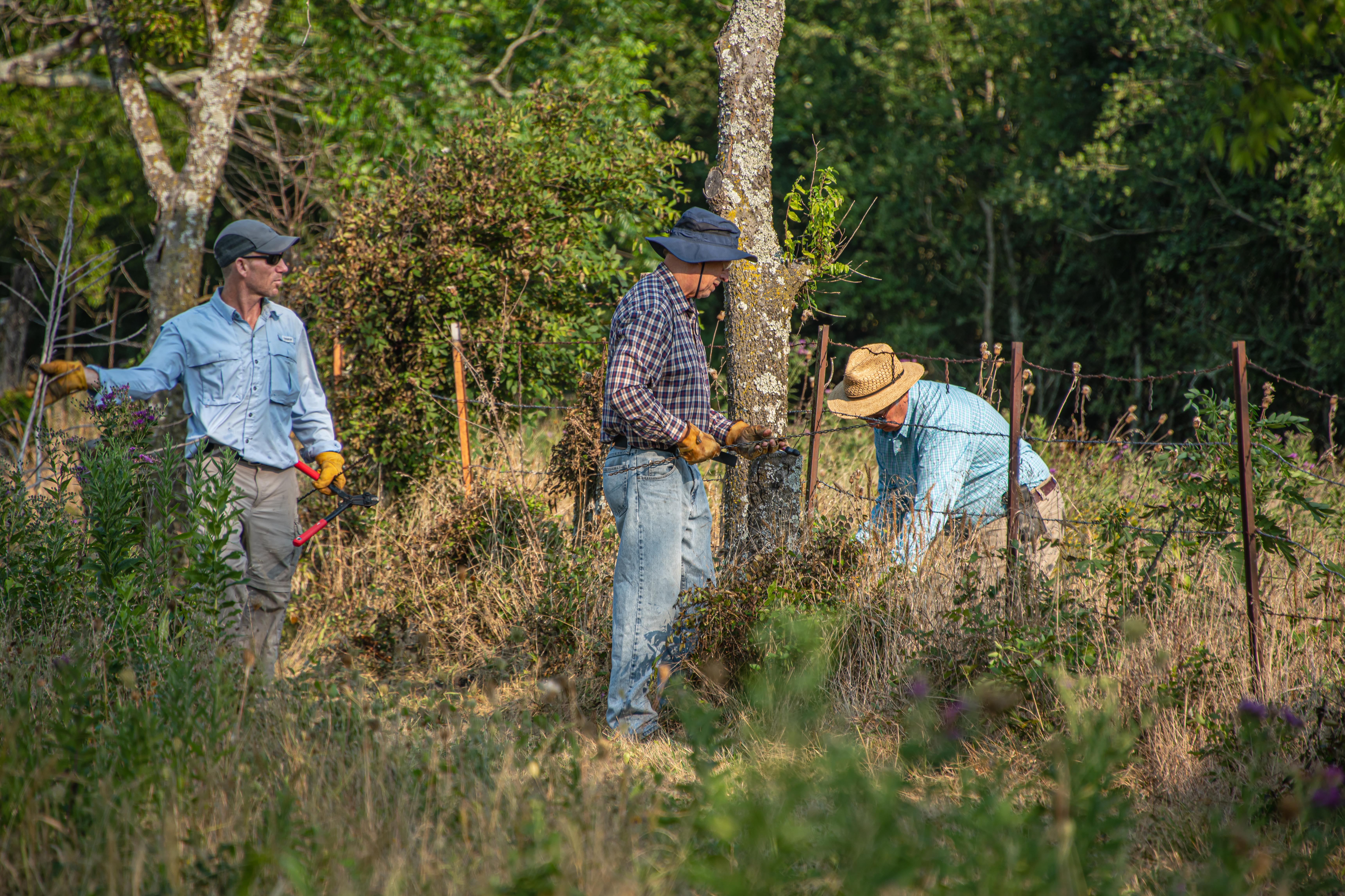 Three men stand with tools conducting work in an overgrown field.