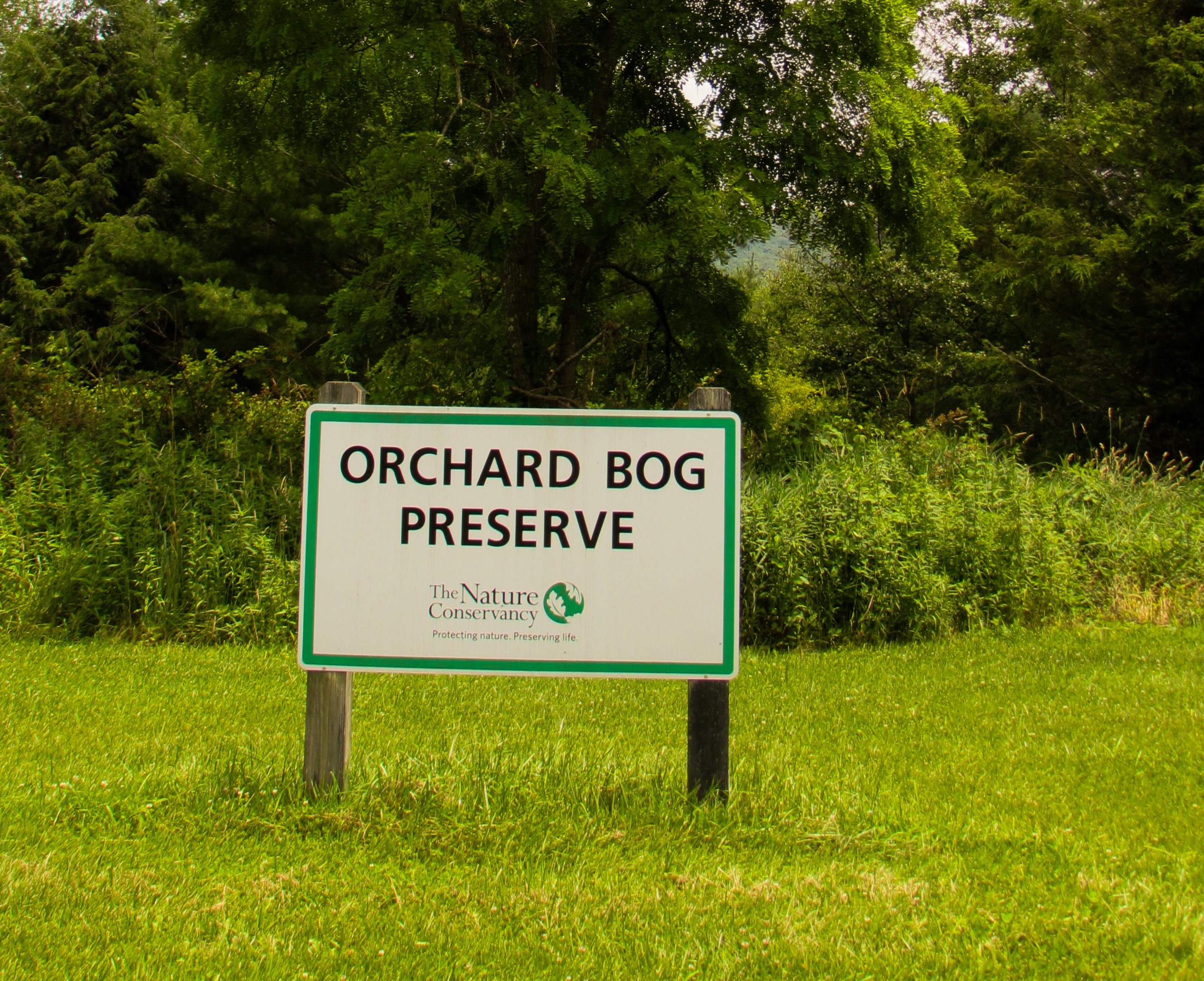 A sign marks the location of Orchard Bog Preserve.