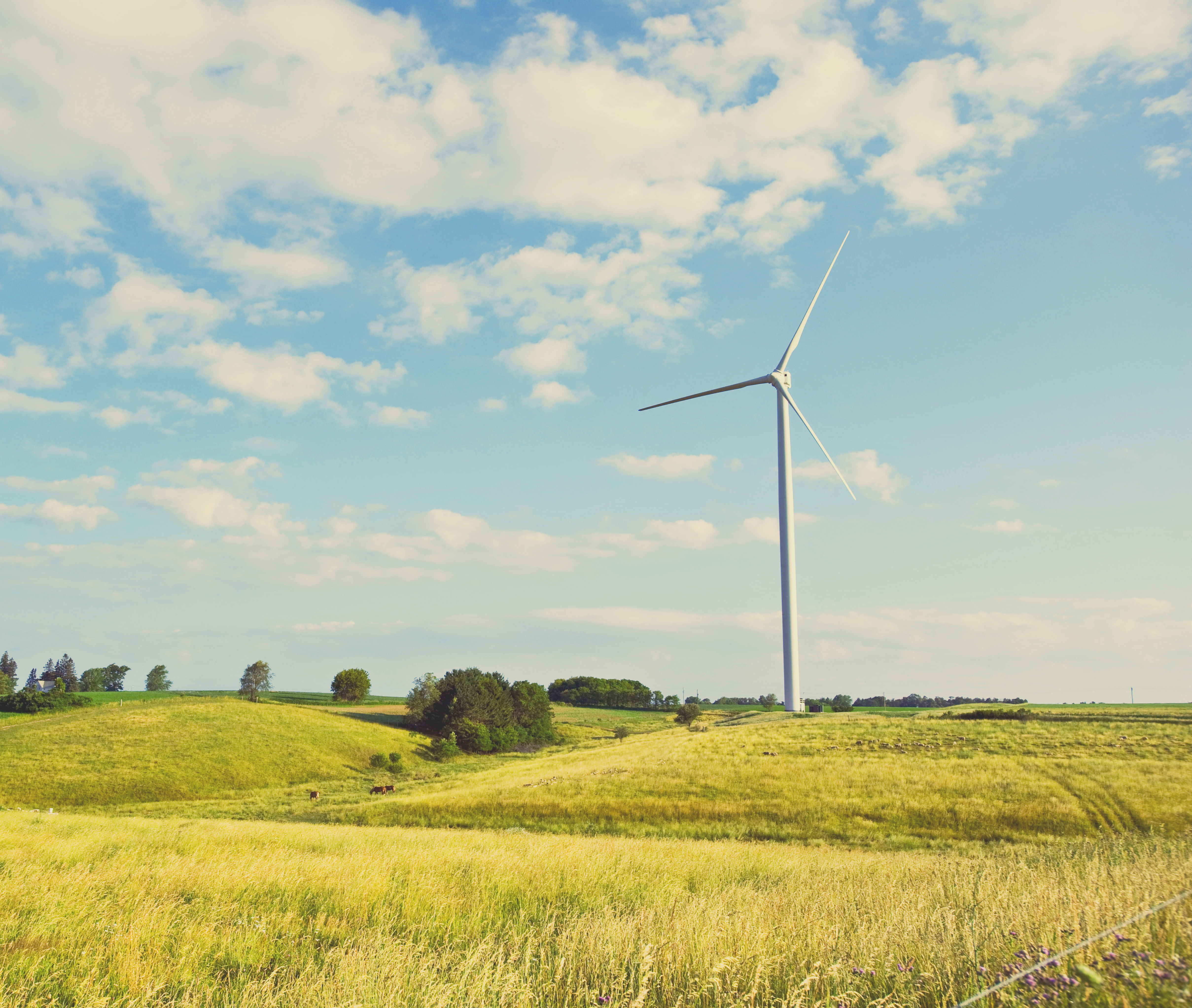 Wind turbine in farm field against blue sky.