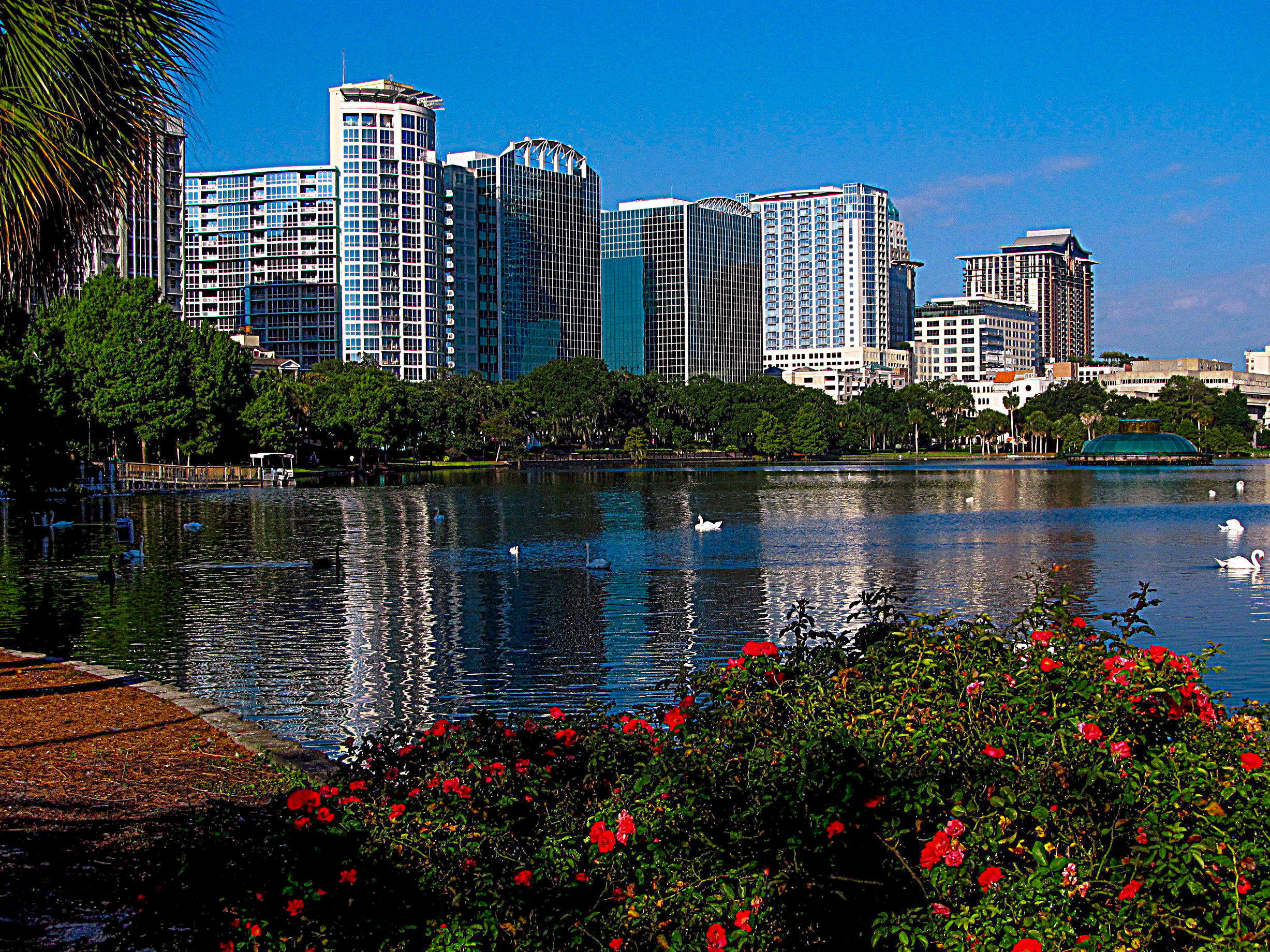 Lake Eola Park in downtown Orlando Florida with the skyline in the background. 