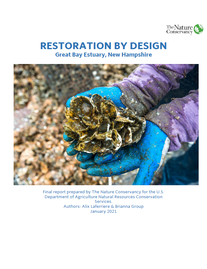 Cover of Restoration By Design full report.