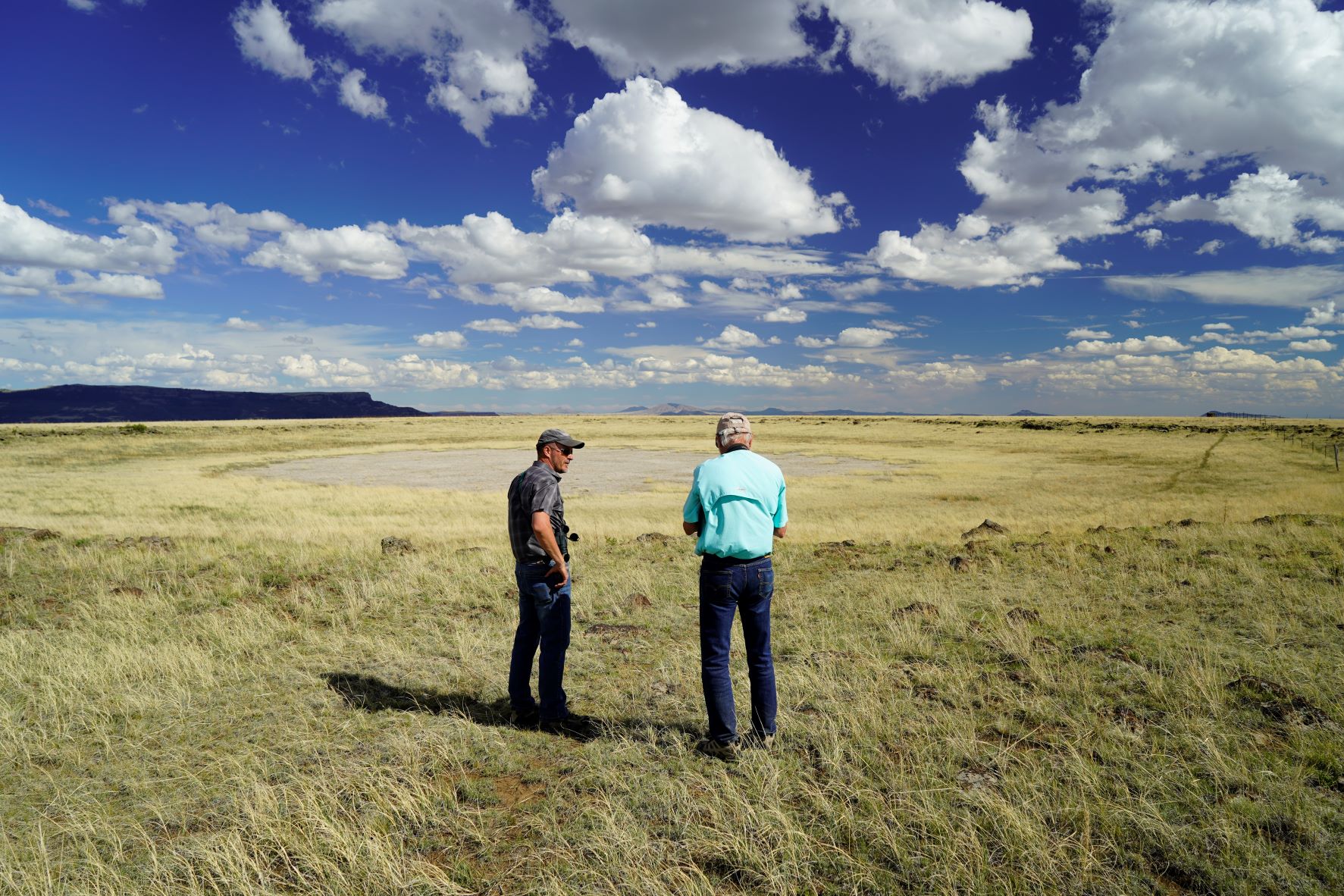 Two people standing in a grass field talking.