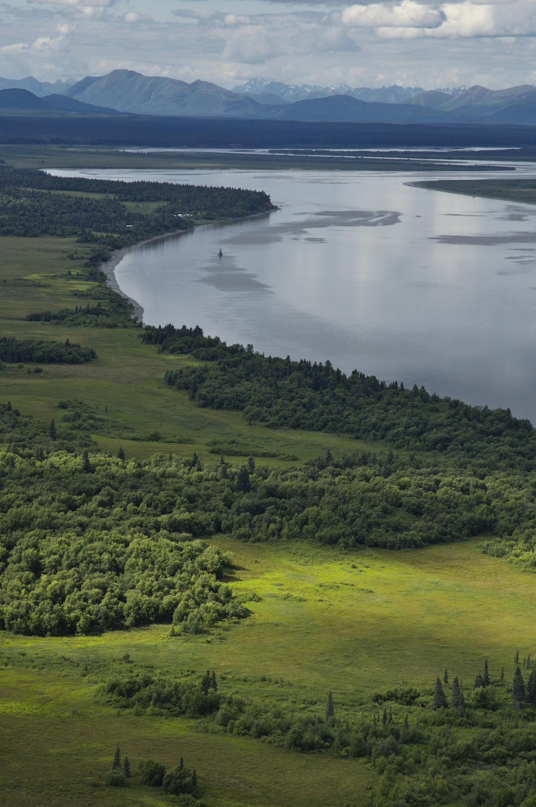 Aerial view of Bristol Bay, showing green forest in the foreground and mountains beyond the water.