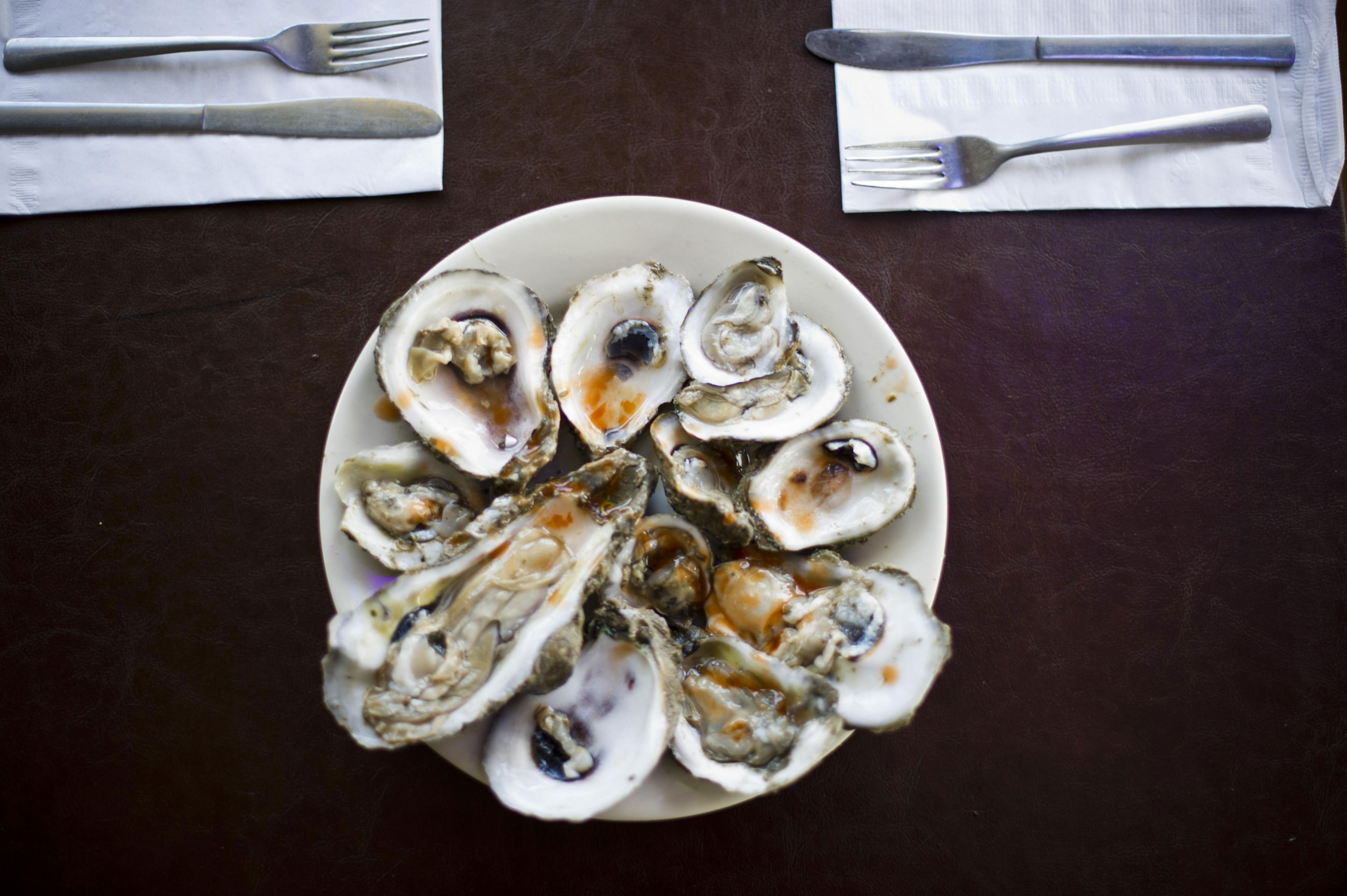 A plate full of oysters on the halfshell, viewed from directly above.