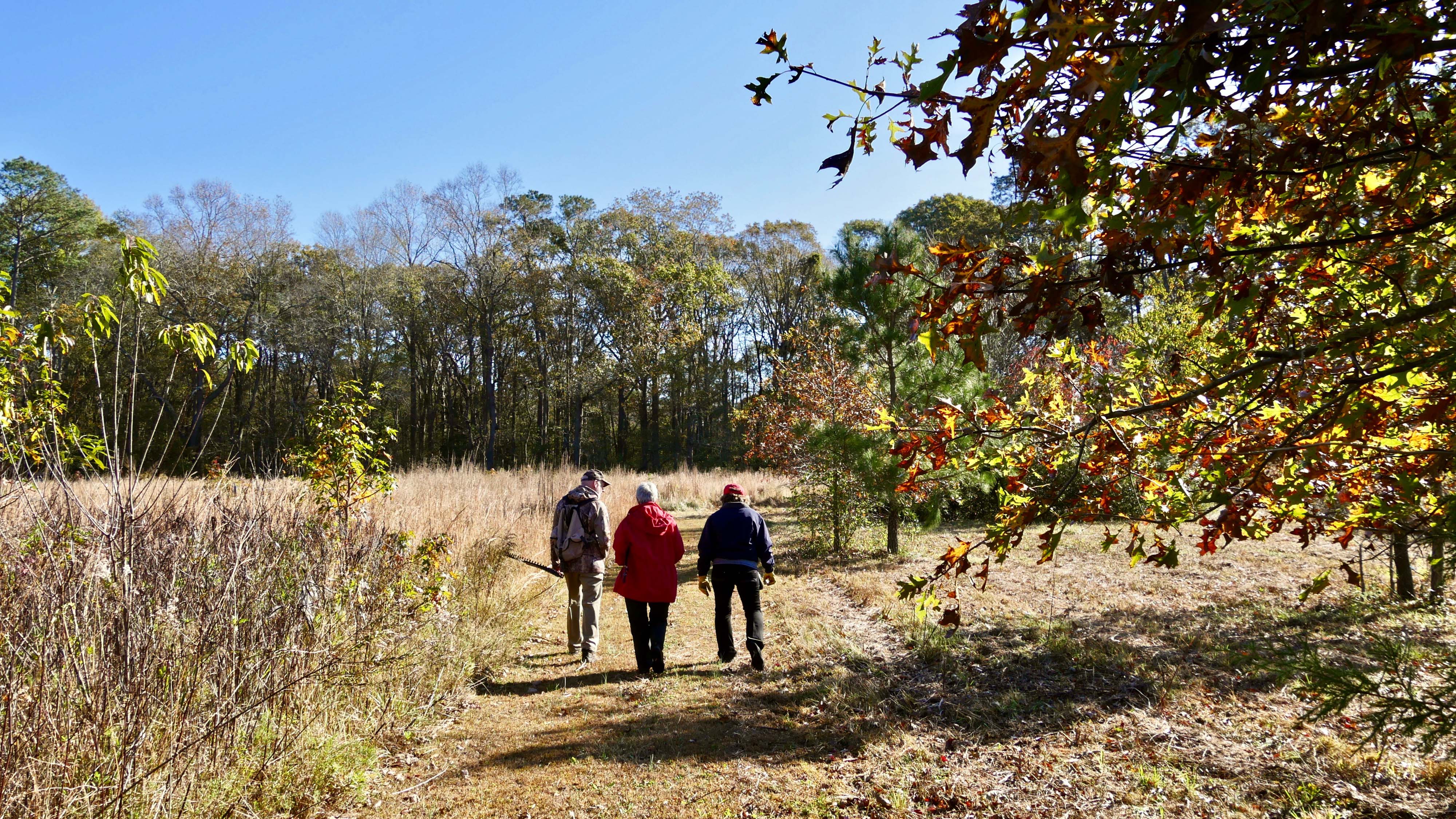 Three people walk on a wide trail. It stretches before them, curving out of sight behind a stand of trees. 