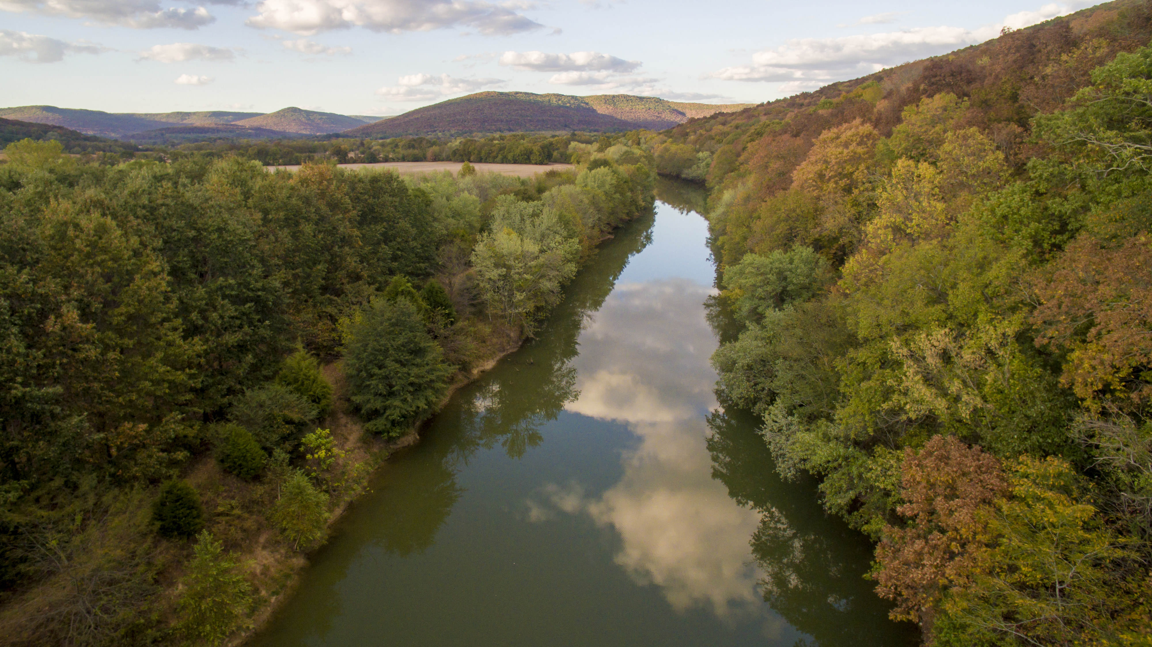 A calm river flows through a colorful forest.