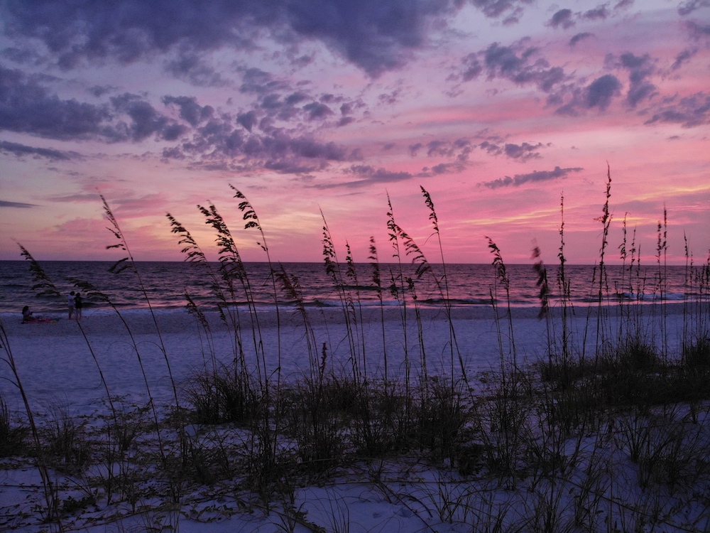 Ocean view through sea oats and dunes with pink skies at sunrise.