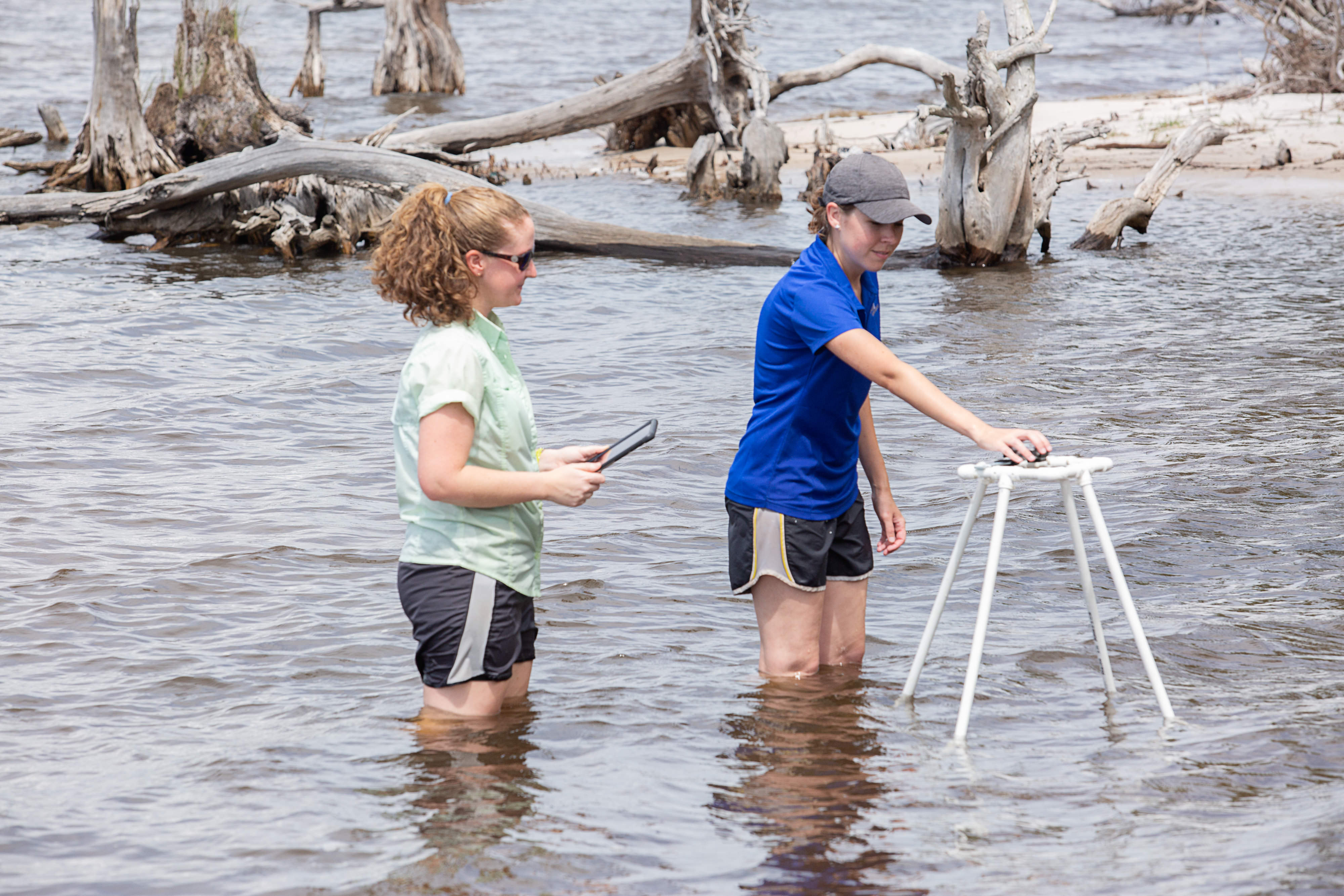 Two female oyster restoration workers side by side knee deep in the bay water conduct scientific monitoring.