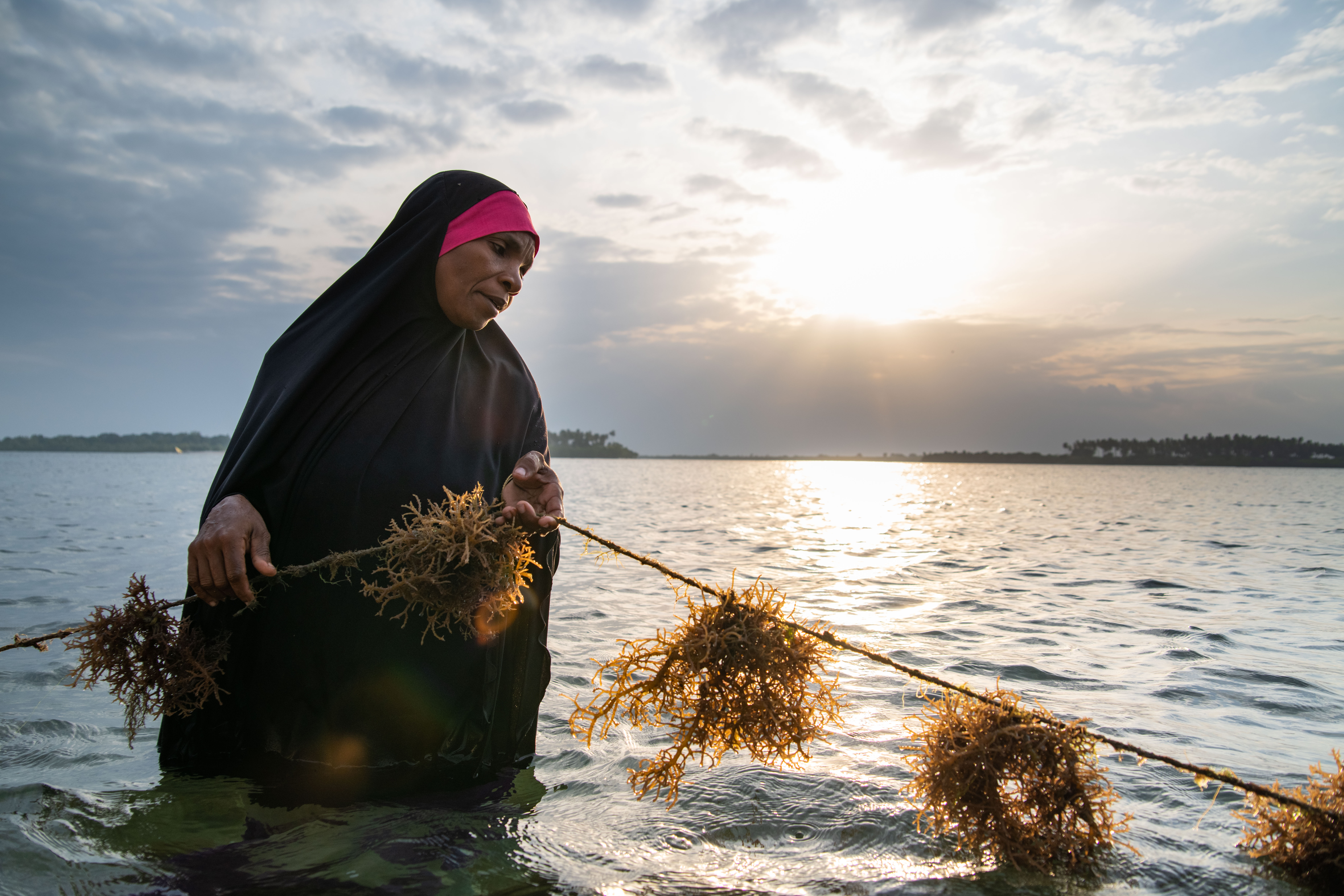 A woman looks down at her seaweed harvest.