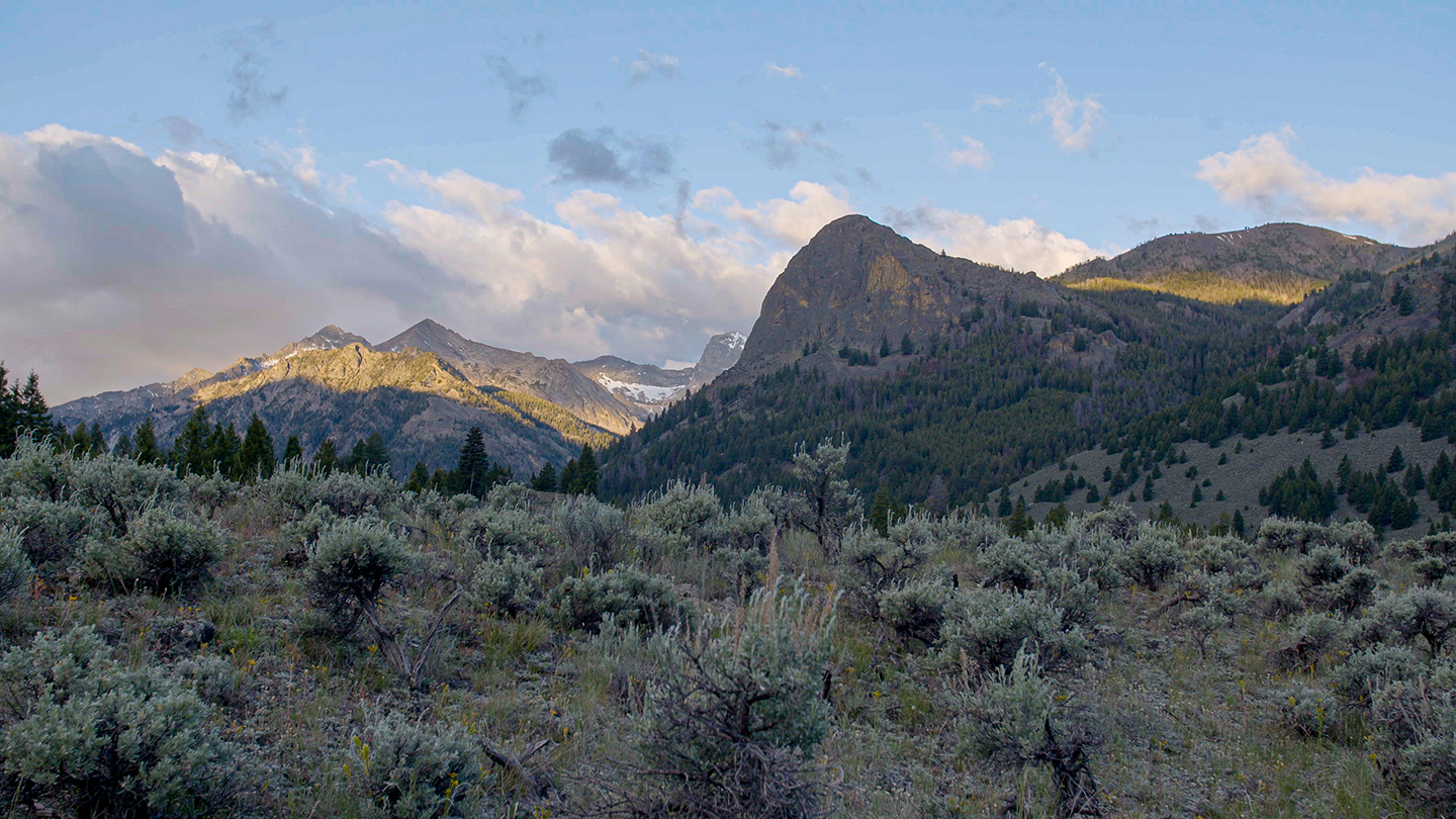 Large mountain peaks at sunrise with sagebrush hills in the foreground.