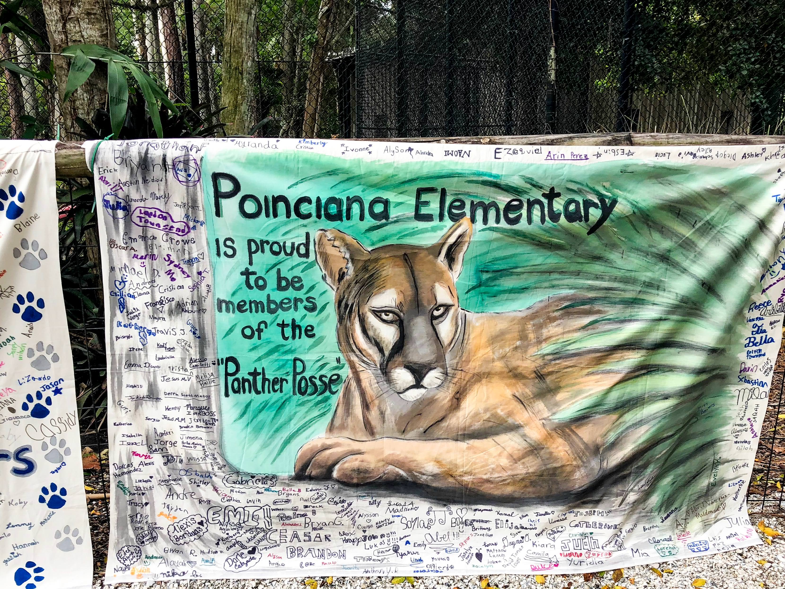 banner with image of a florida panther painted on it signed by elementary school students