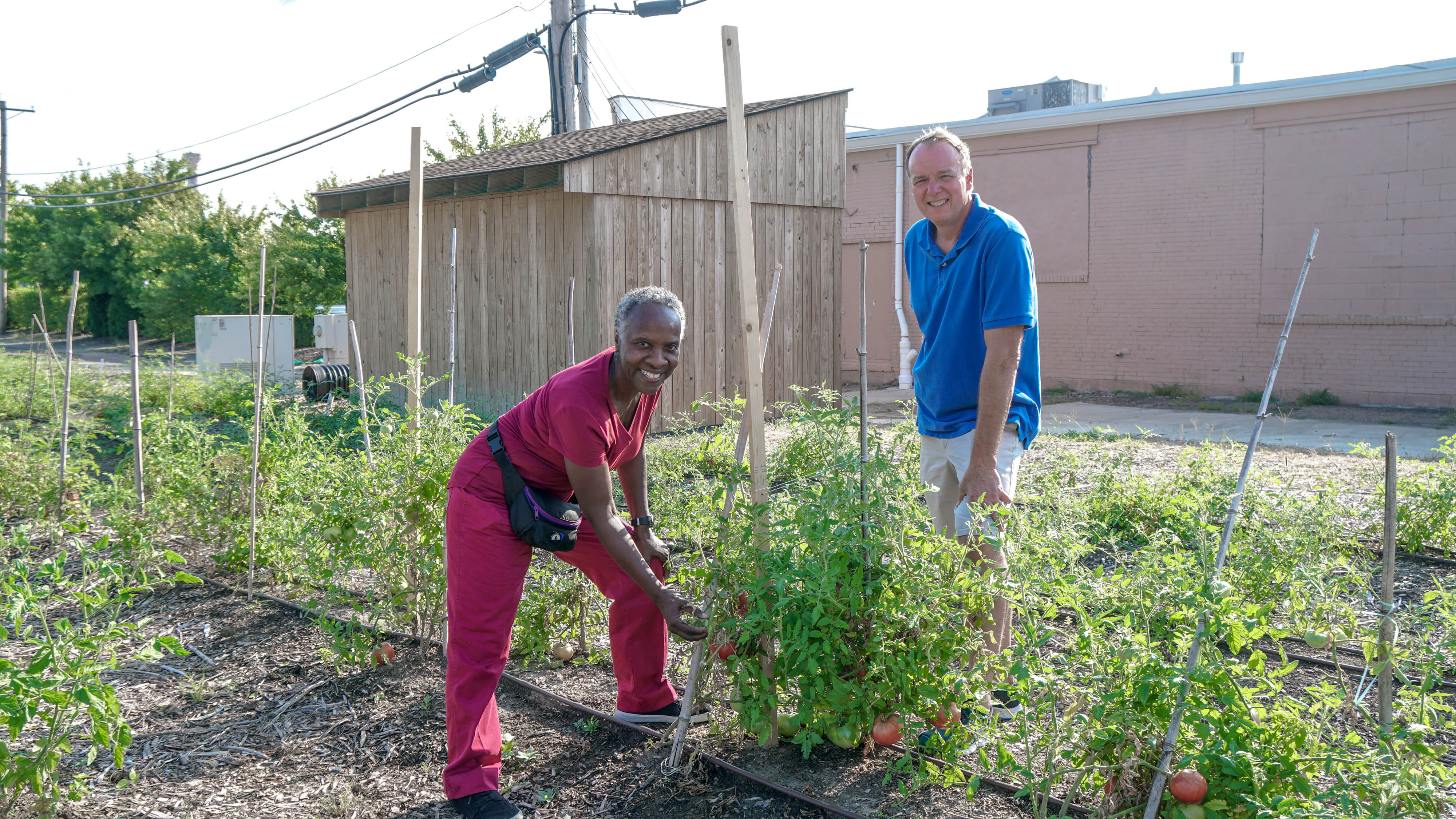 A man and a women stand in a growing garden.