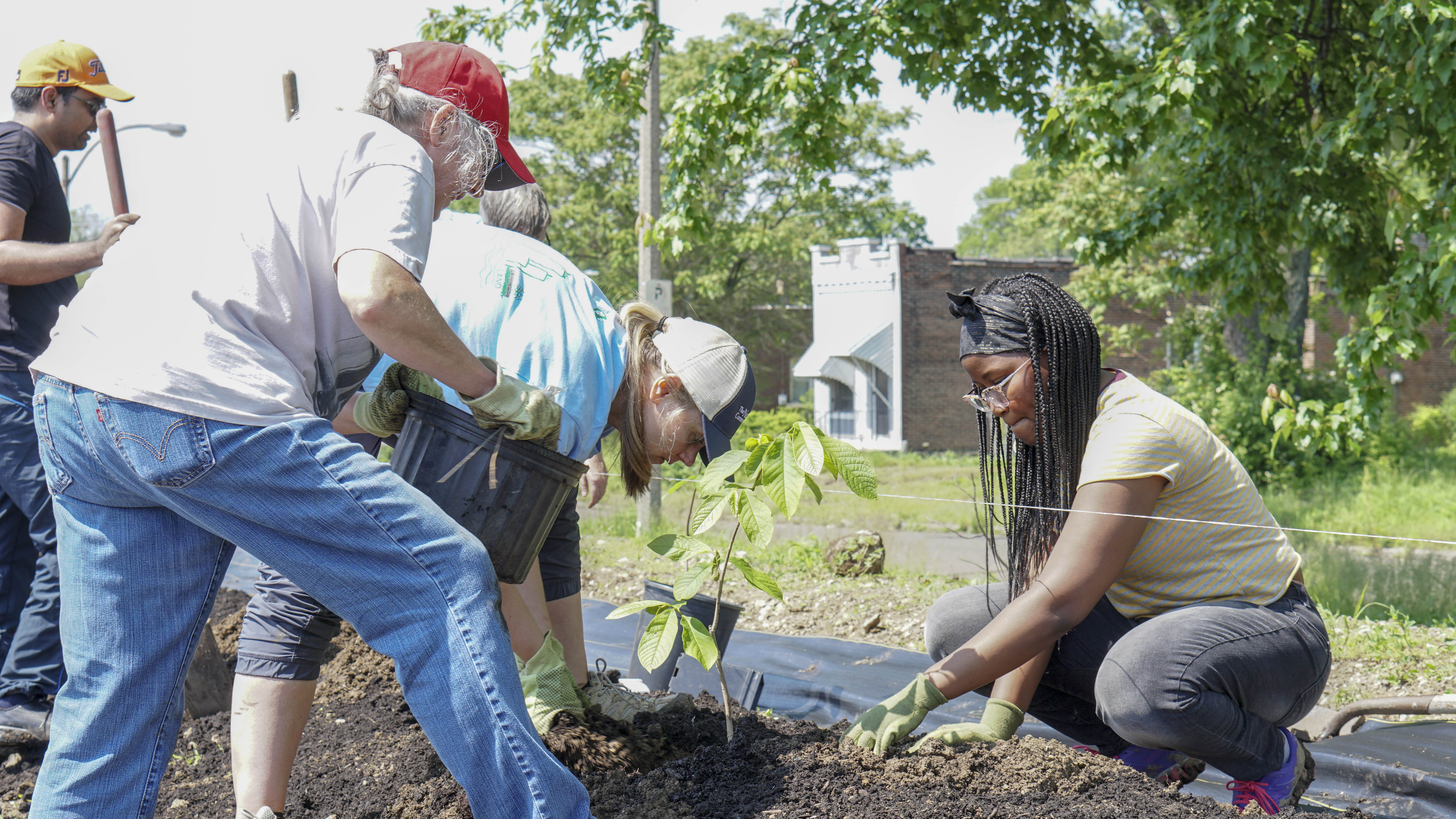 A small group of women planting a tree in an urban garden. 