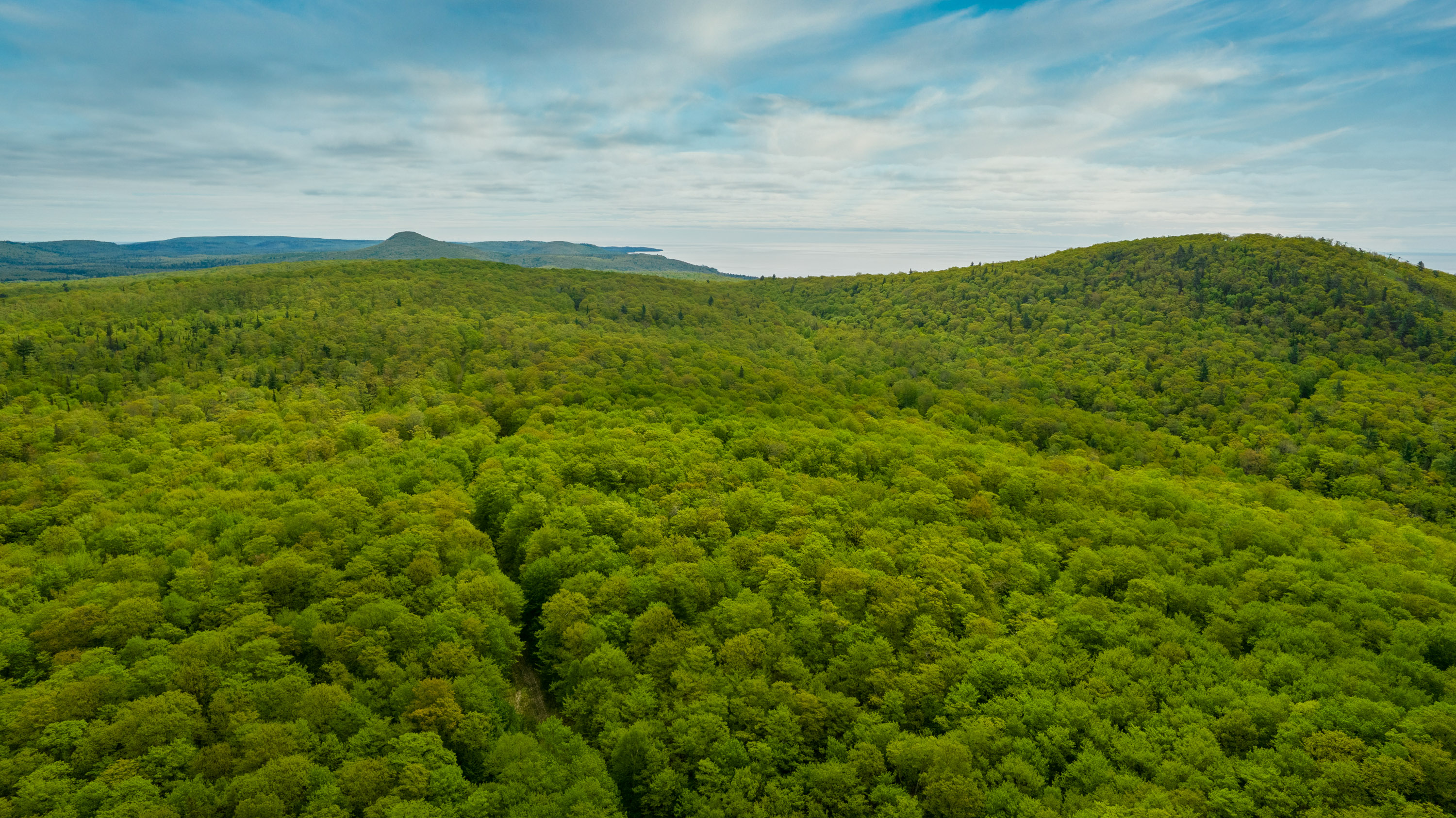 Aerial view of a rolling green forest in Michigan's Keweenaw Peninsula.