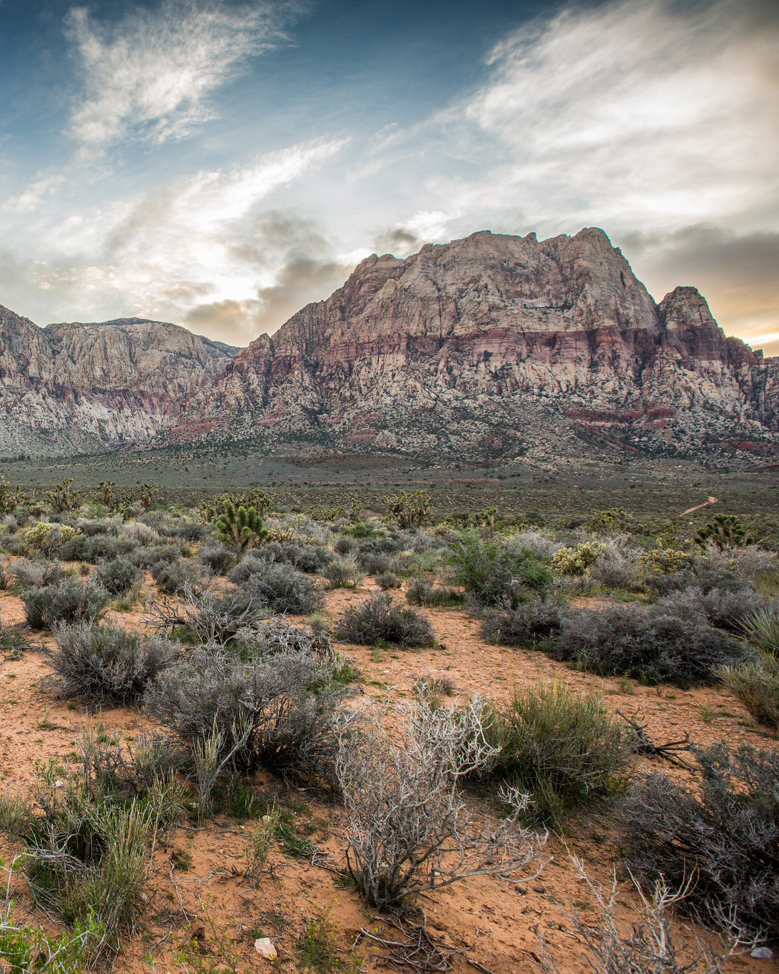 Red Rock Canyon National Conservation Area in Nevada.