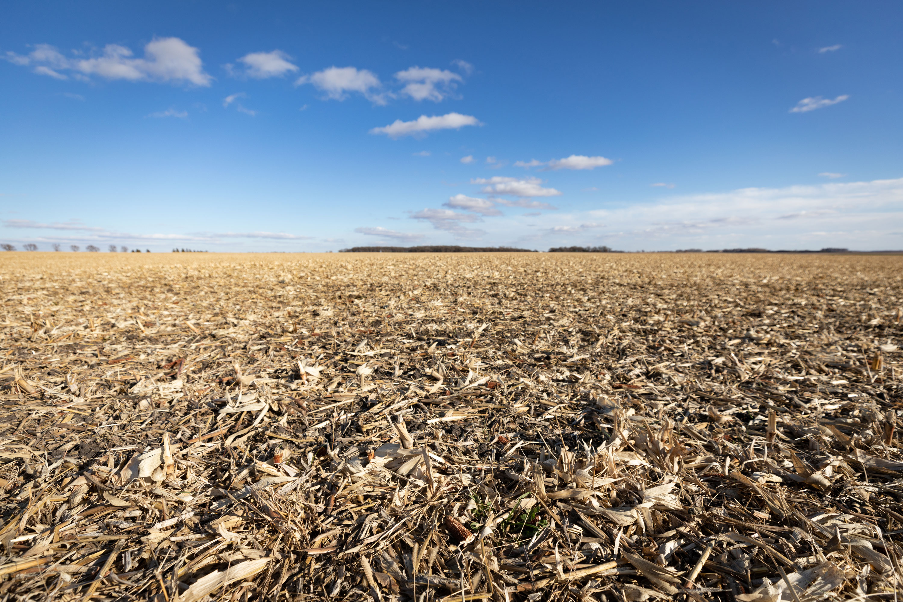 no-till field with crop residue left behind.