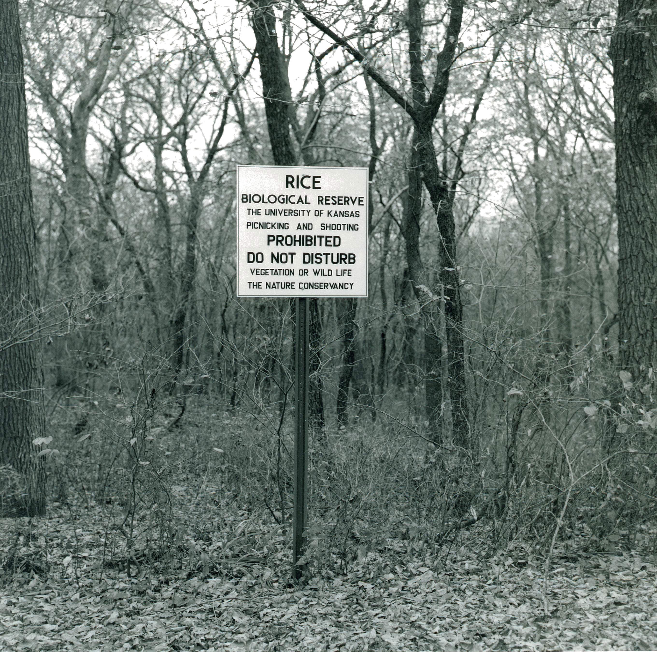 Old photograph of metal preserve sign in front of tress