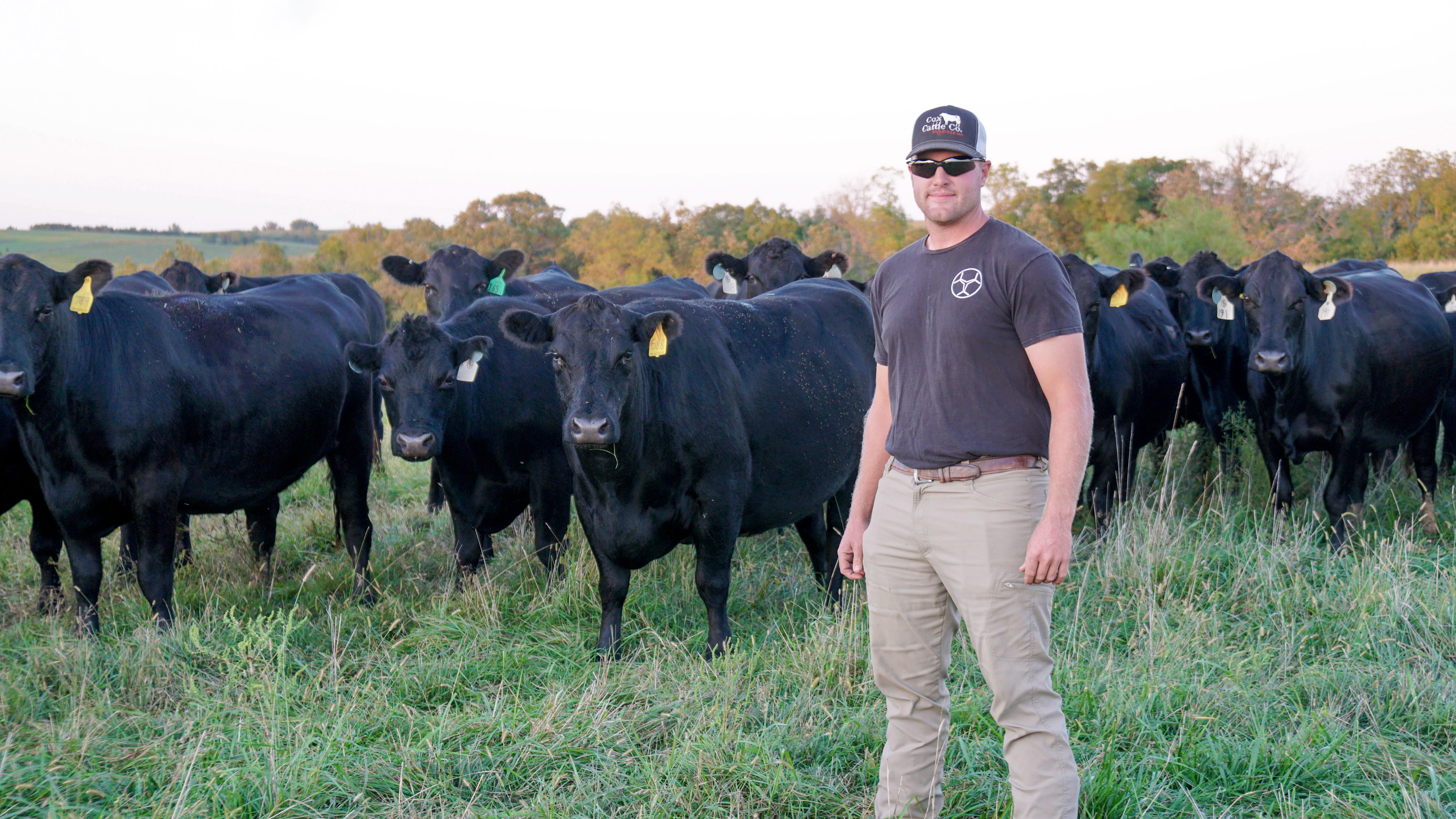 A man standing in front of a herd of cattle.