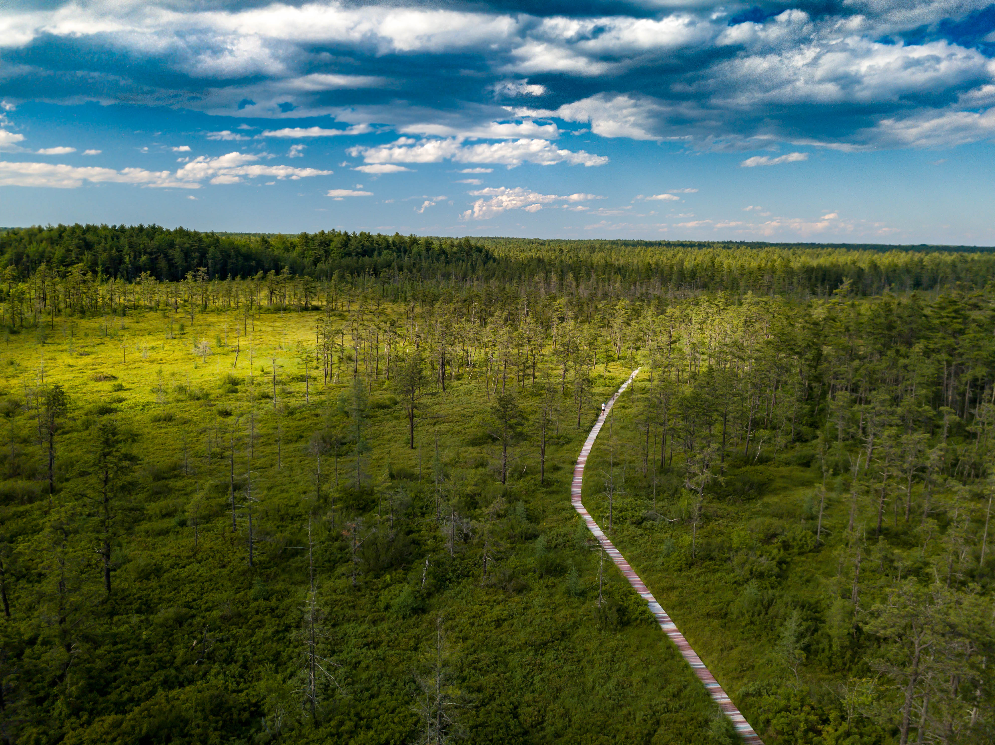 Aerial view of a long wooden boardwalk extending through forests and scrubby heath.