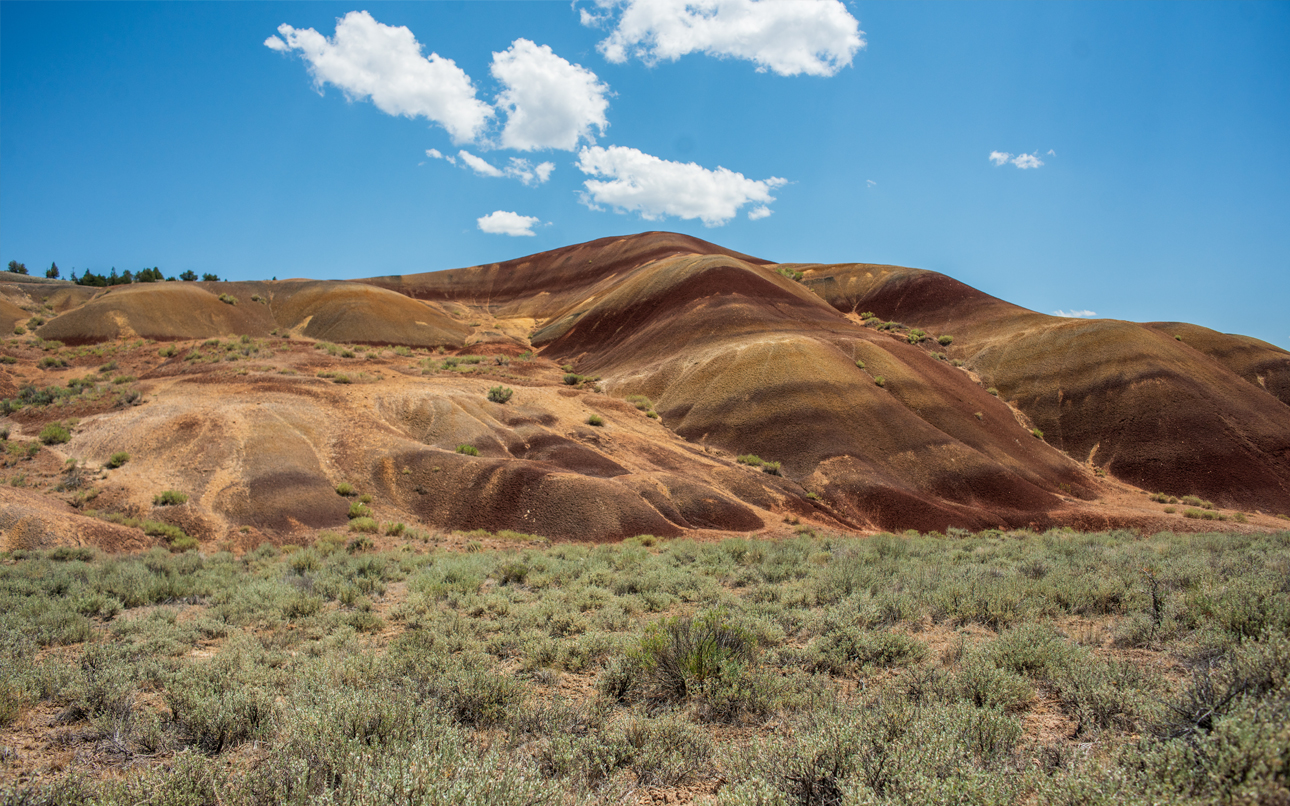 Orange, brown and black-striped hills under blue sky with green sagebrush in the foreground. 