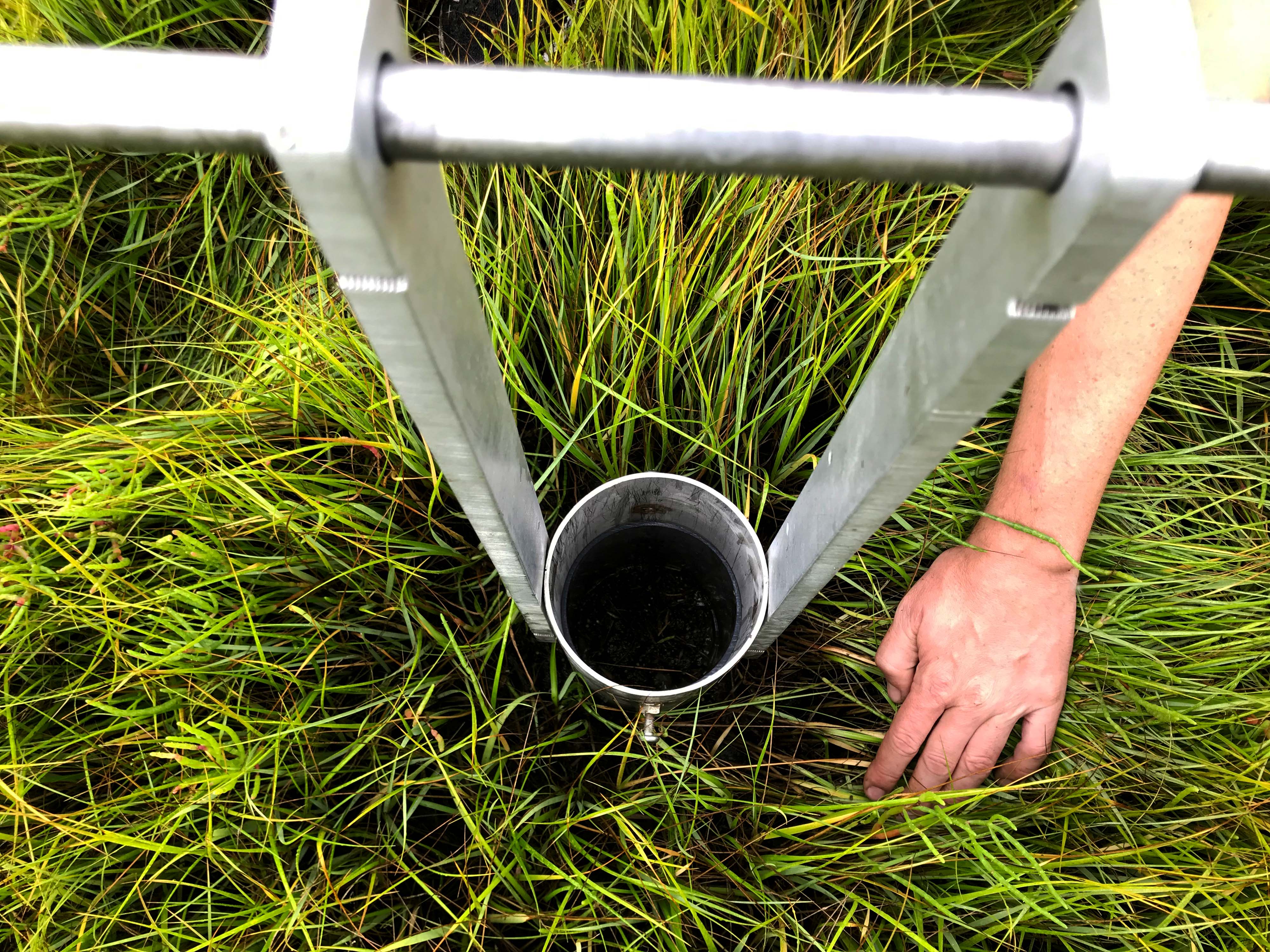 Bird's eye view of salt marsh sampling. 