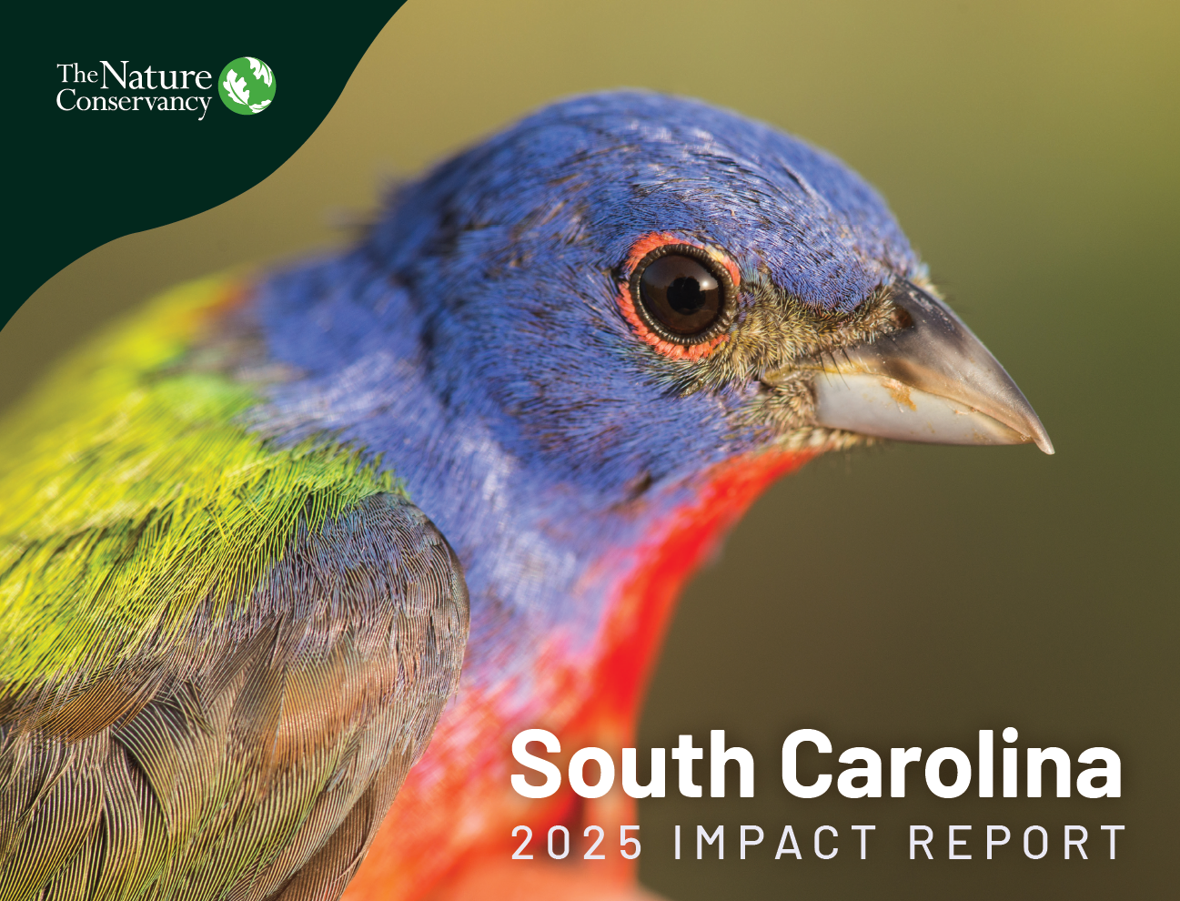 Cover of the 2025South Carolina Impact Report