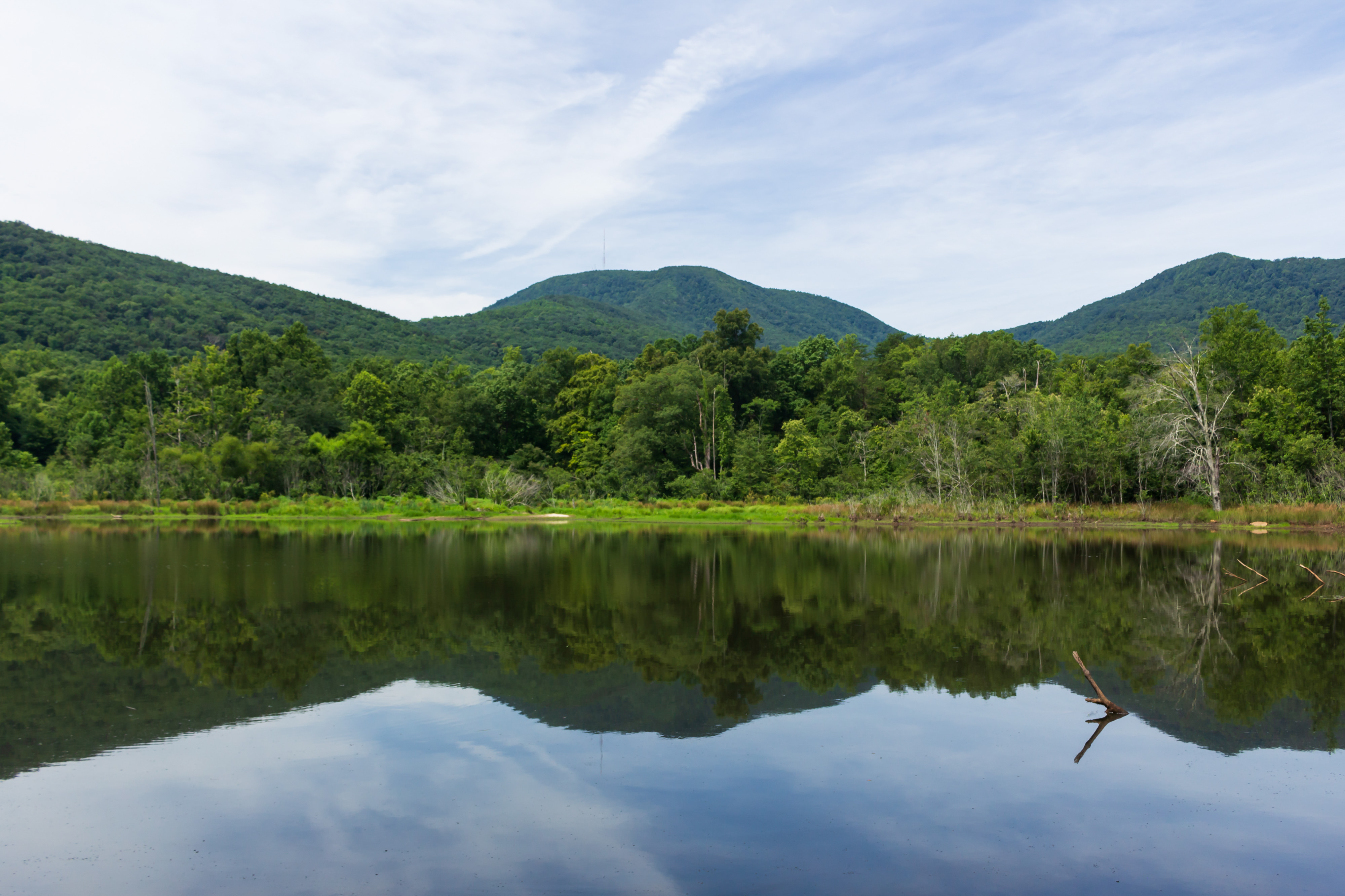 View of a wide body of water with trees lining its shore and mountains in the background.