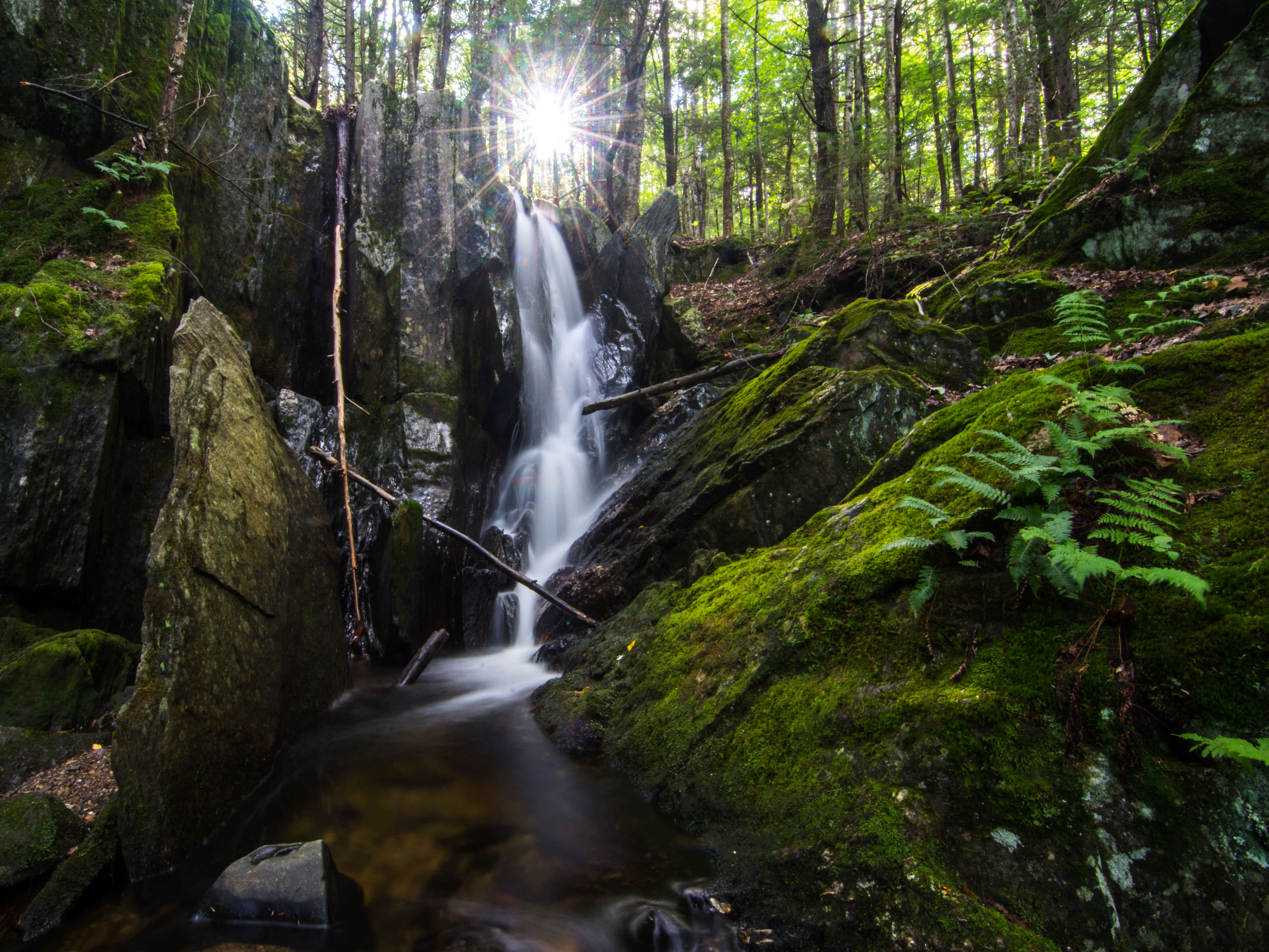 A small waterfall plunges down the side of a rock at TNC's Surry Mountain Preserve.