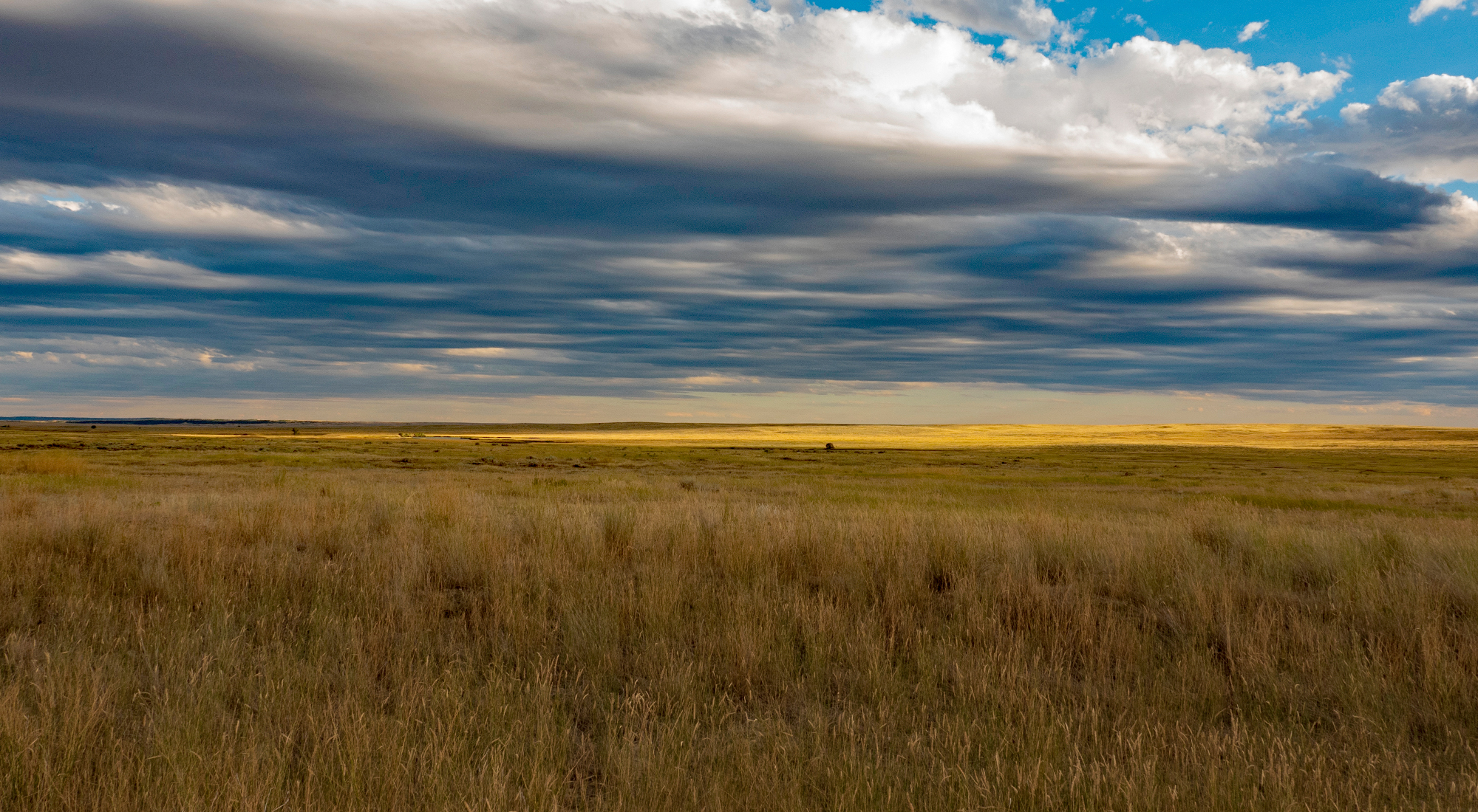Brown grass stretches to the horizon under a partly cloudy sky. 