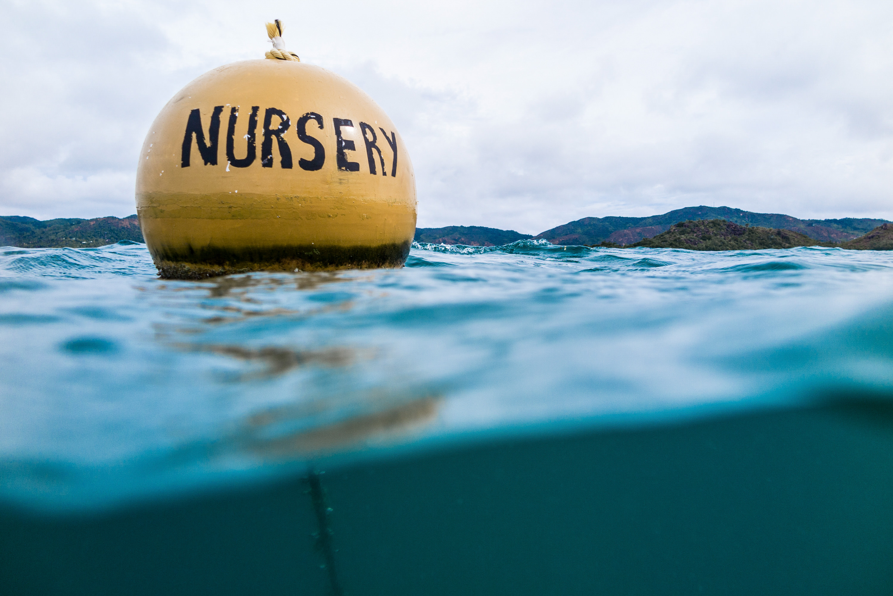 Bouy marking a marine boundary