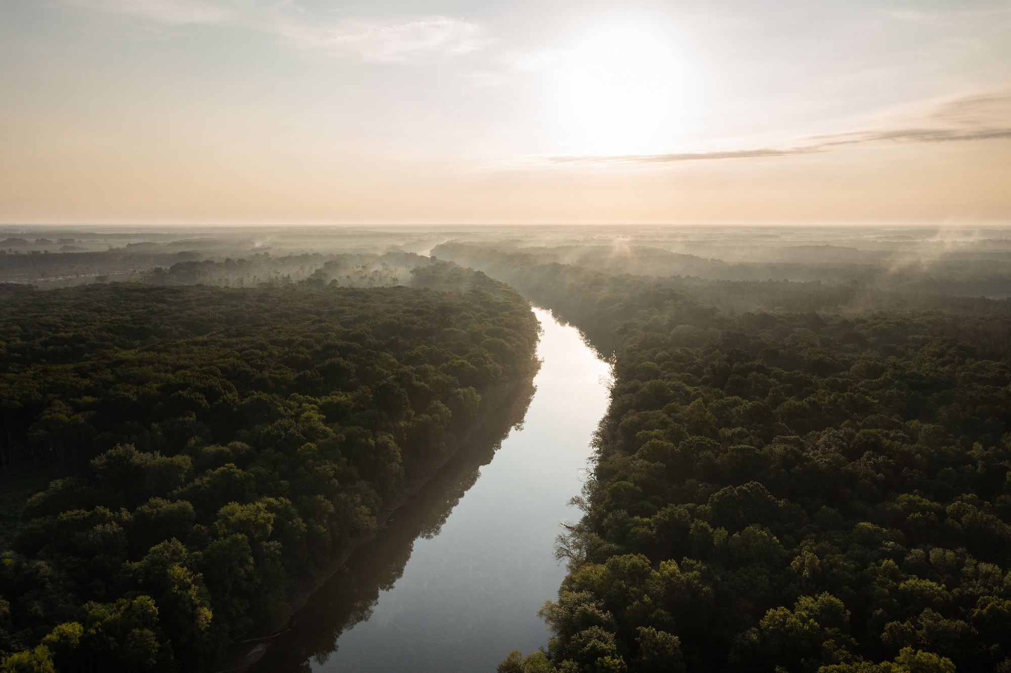 A wide flat river gently curves through a forest. Morning mist rises above the trees.