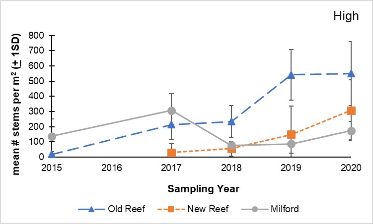 Chart showing growth of Spartina grasses in Connecticut marshes.