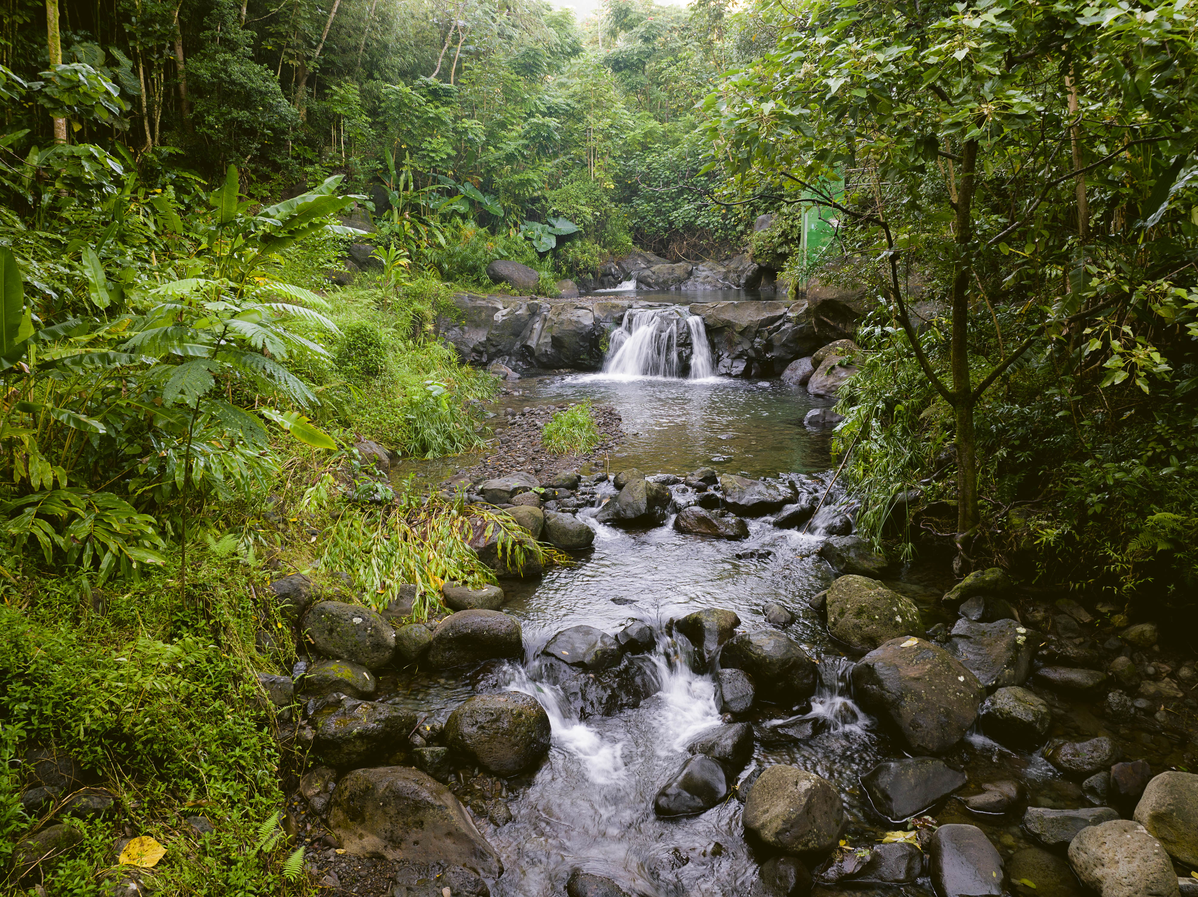 a small waterfall in a stream in a lush green forest.