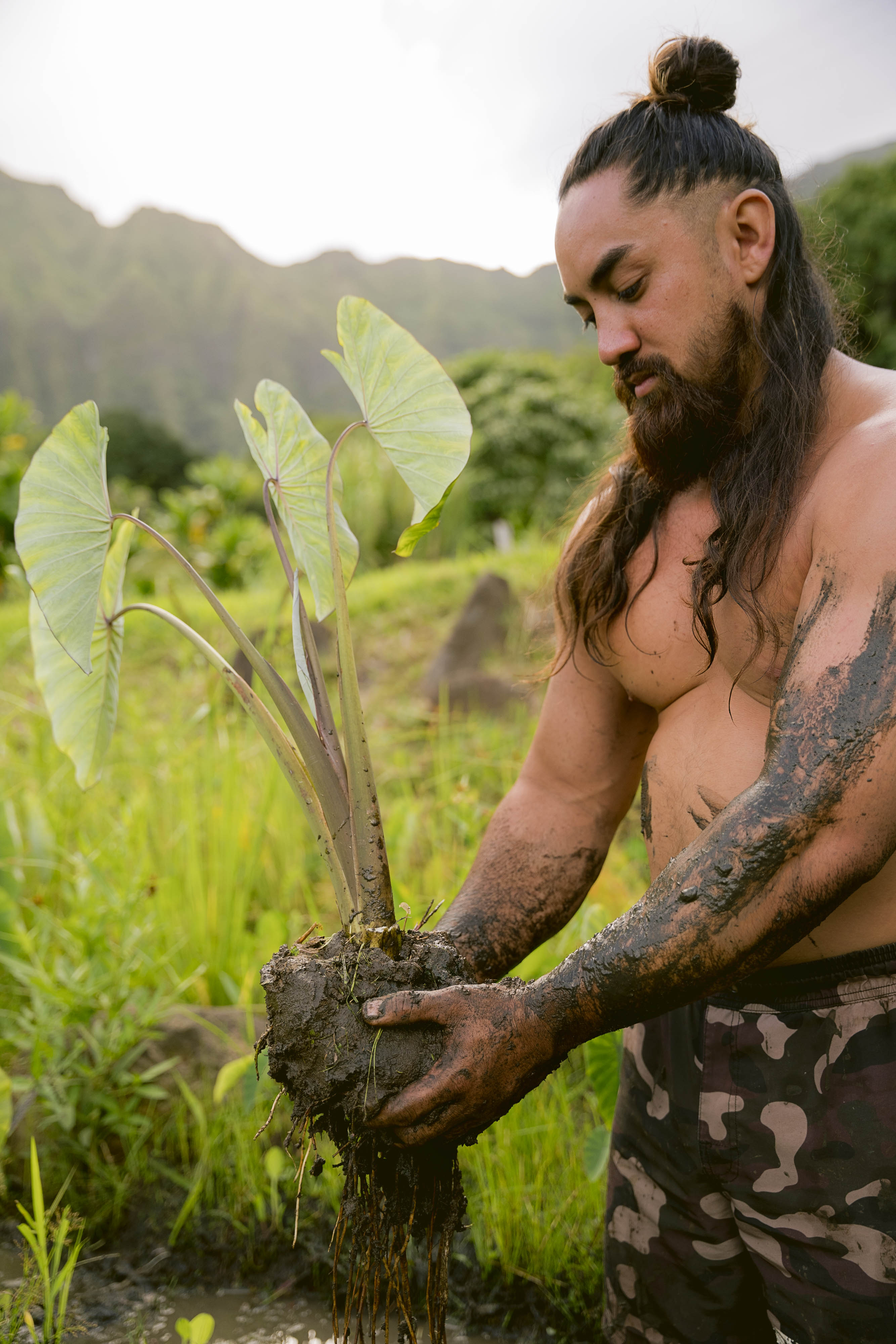 Ka‘imi Johnson holds a taro plant with mountains in the background.