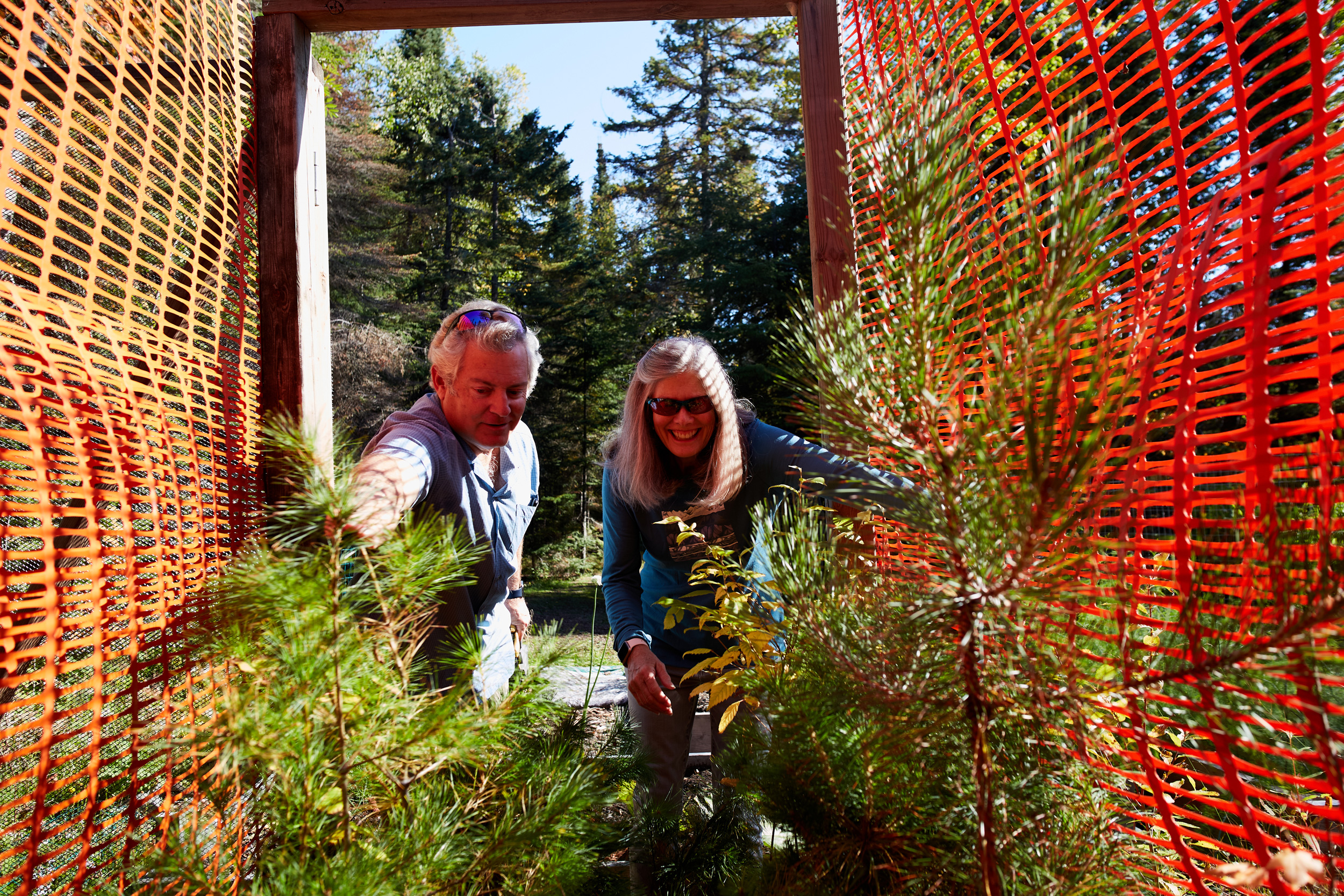 Two people check on seedlings growing inside a fence.