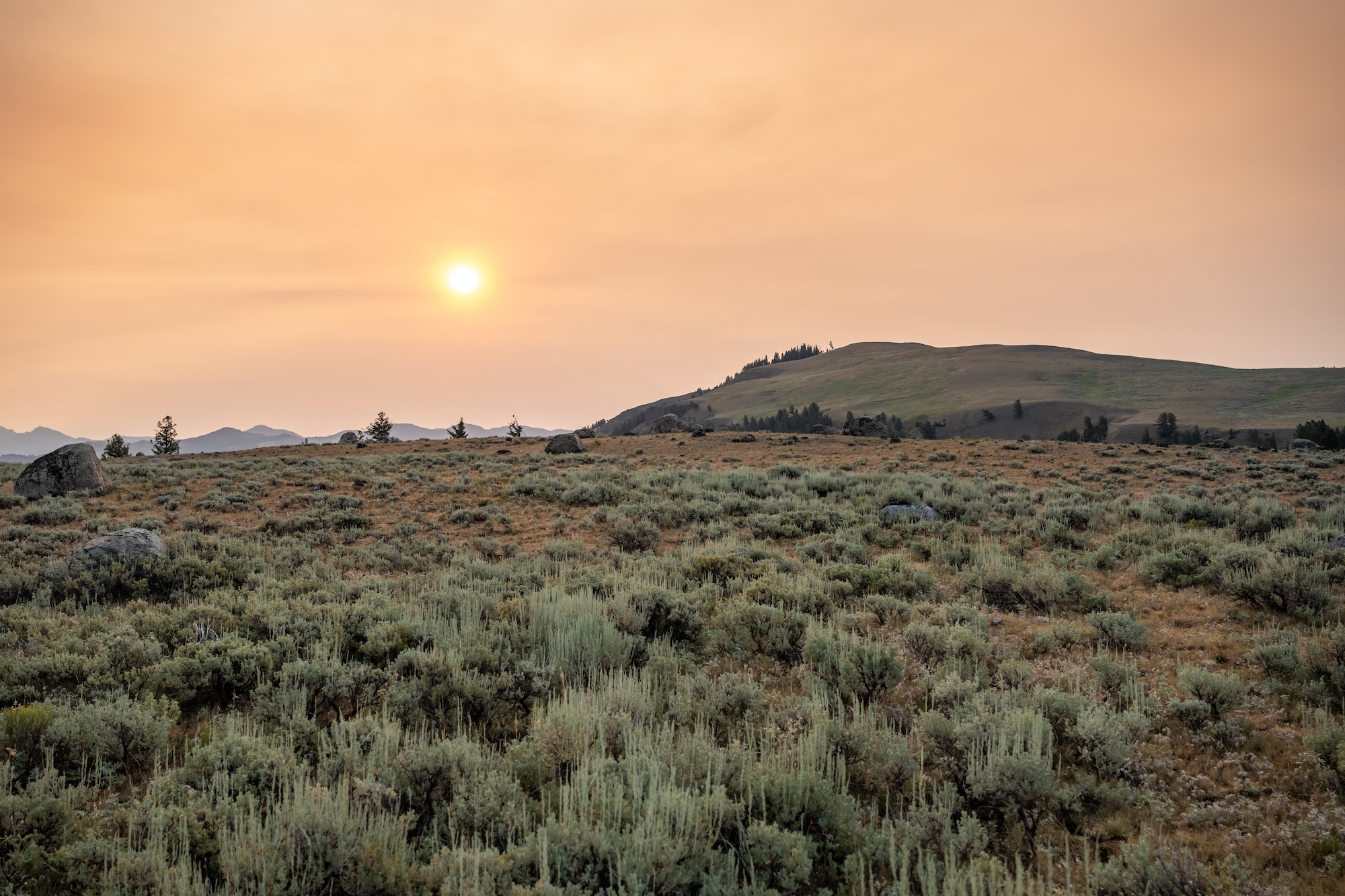 Sagebrush landscape with a smokey sky.