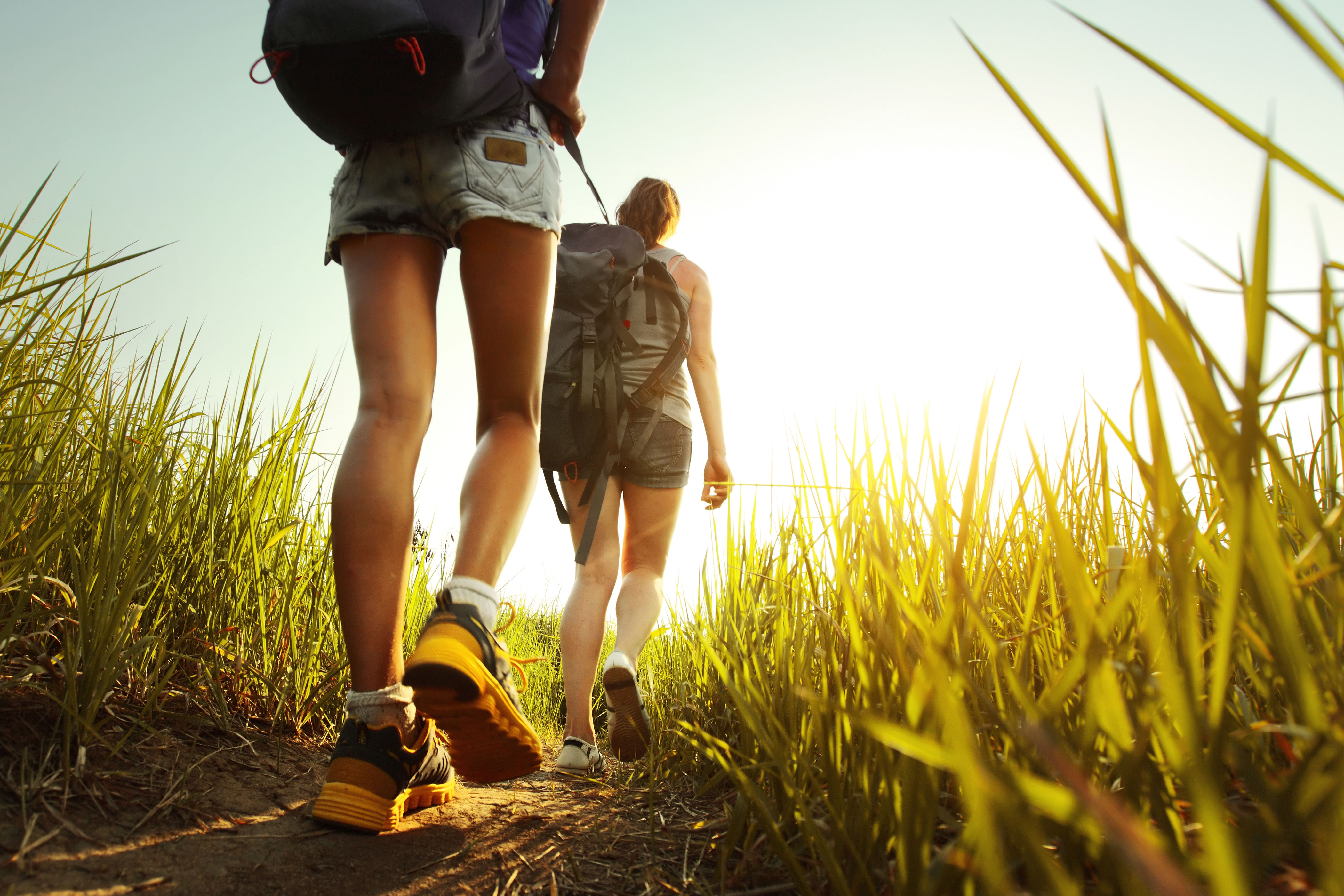 Two hikers on a trail.