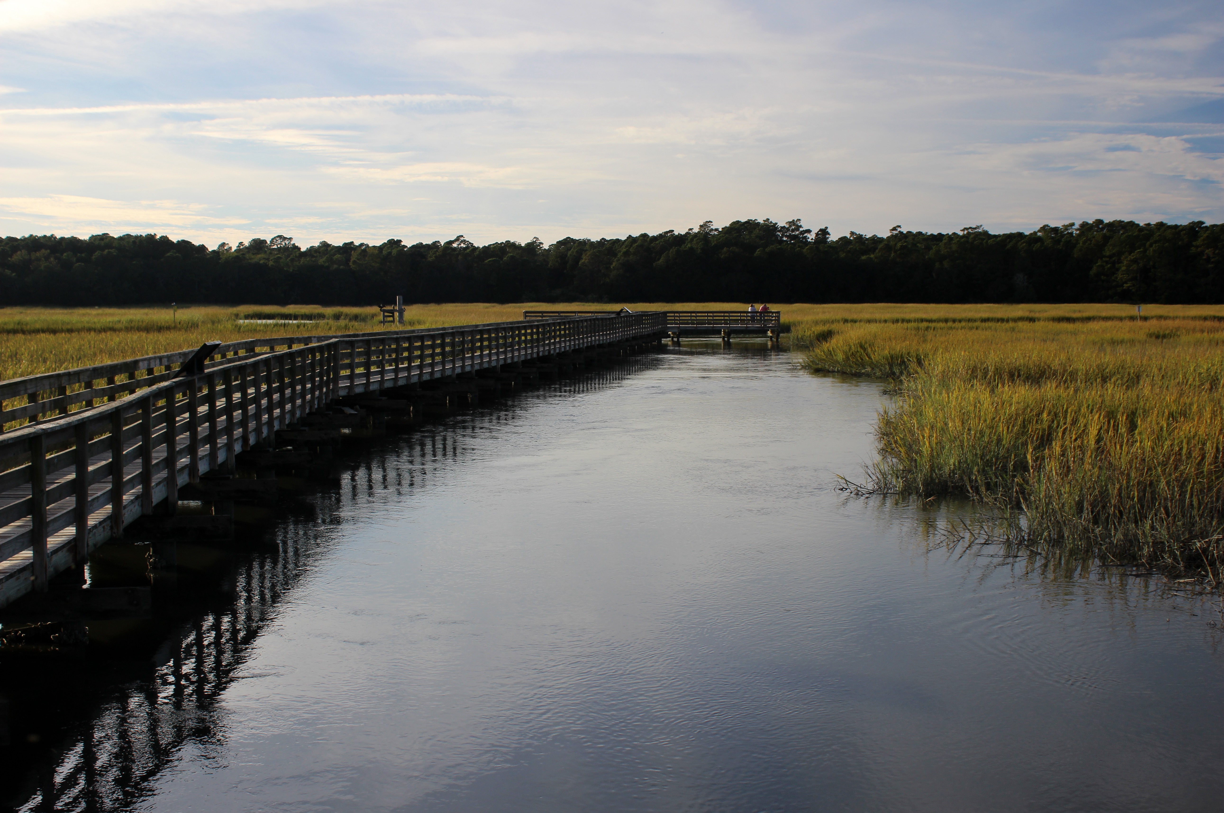 A wooden boardwalk over a marsh, surrounded by tall grass.