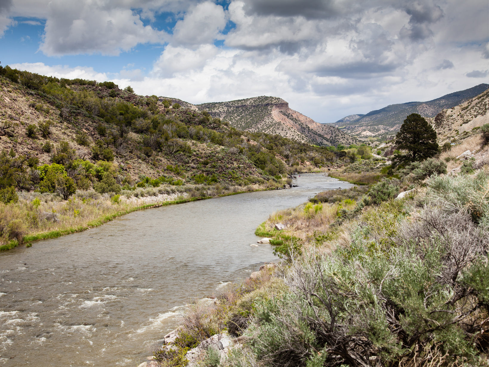 river running through New Mexico landscape