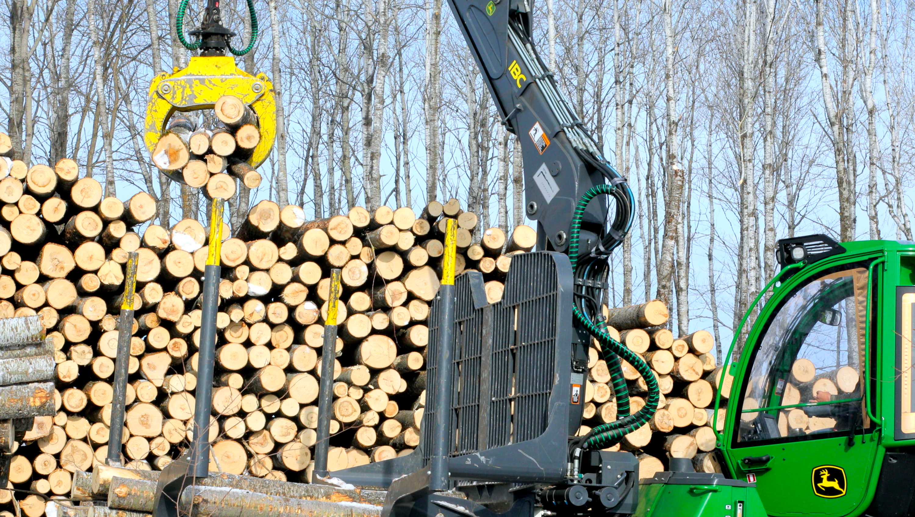 Timber harvest in winter.