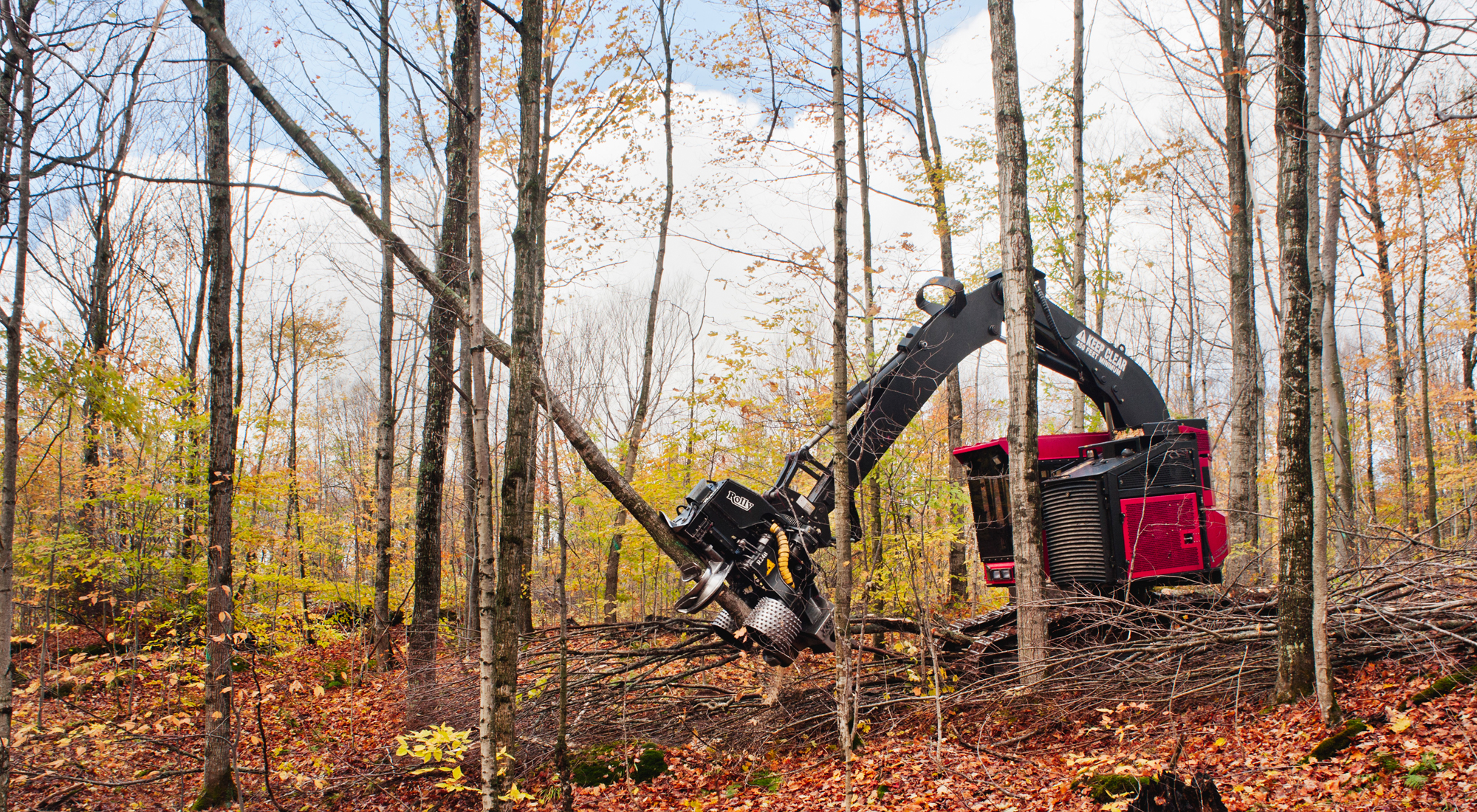 A timber harvester machine harvesting trees. 