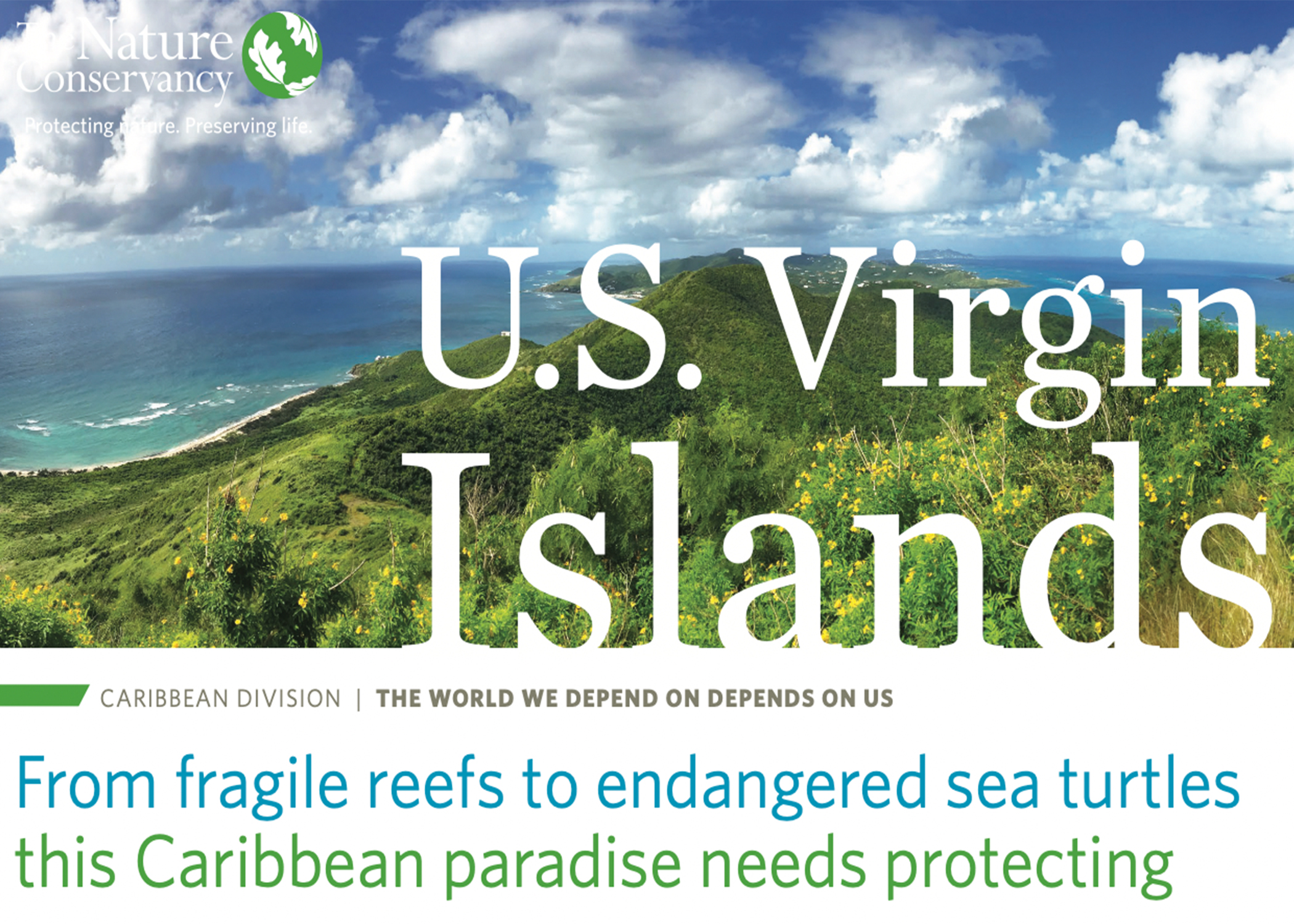 Thumbnail of the cover of the Virgin Island Factsheet. 
