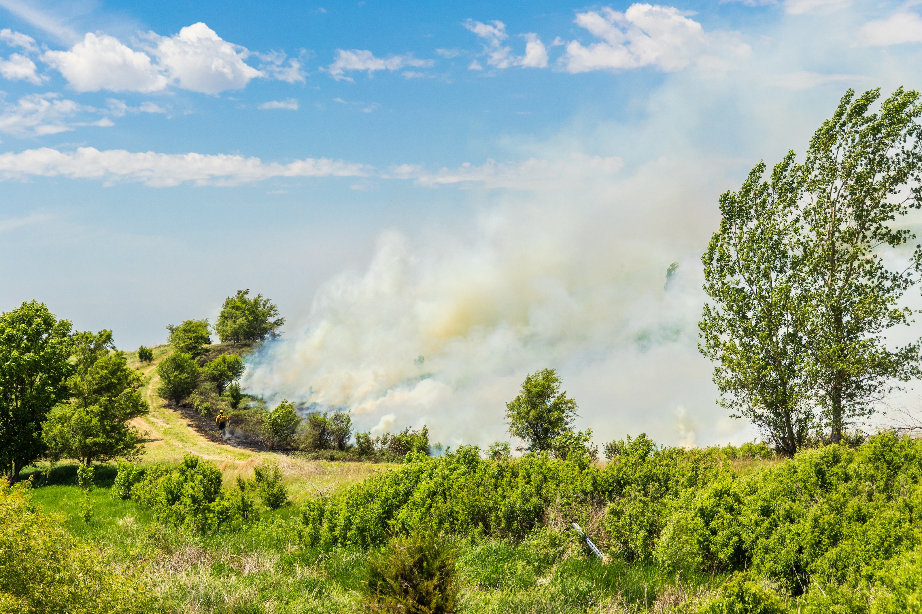 Smoke from a prescribed fire drifts over a green field.