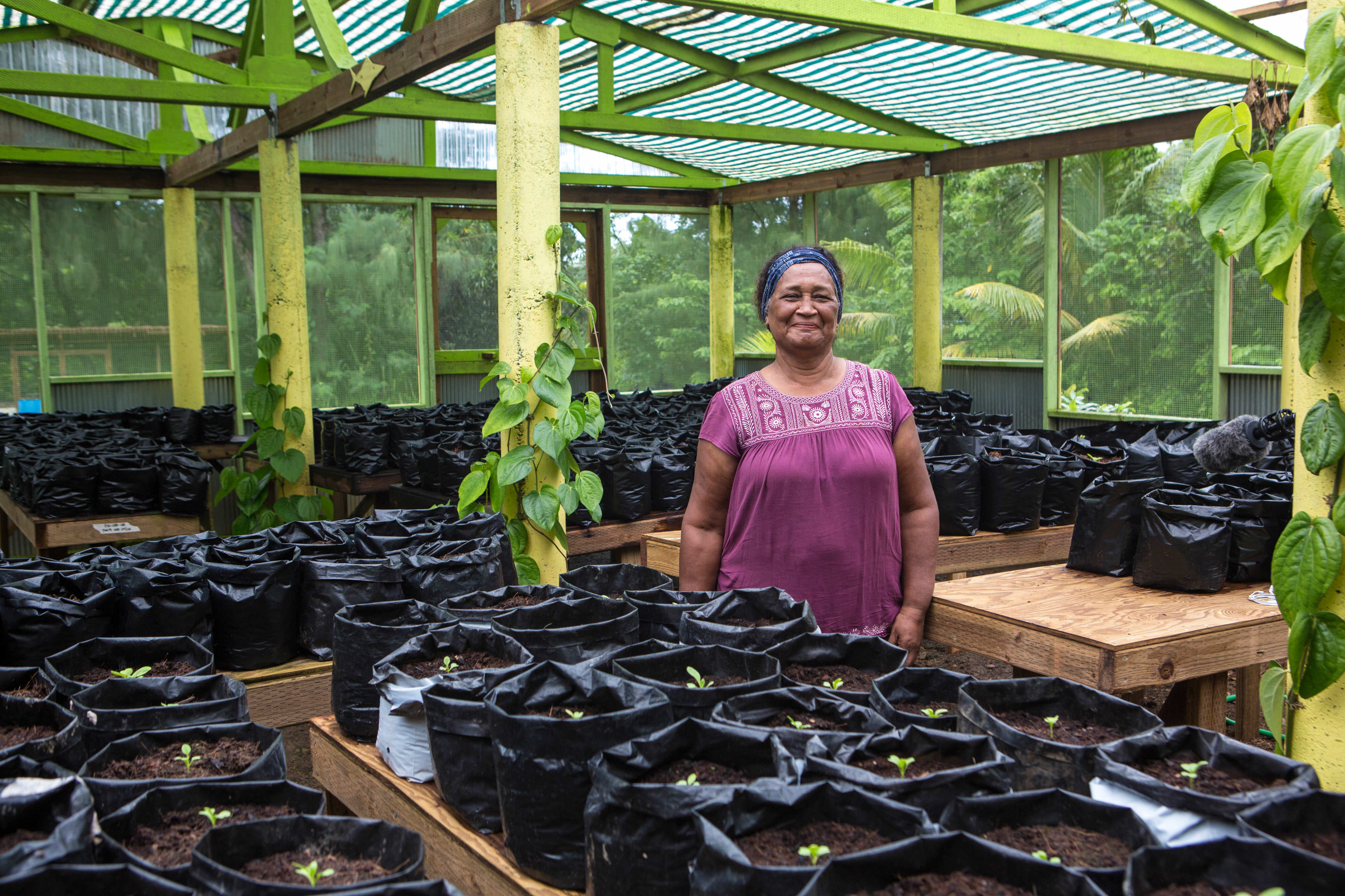 Woman stands smiling in greenhouse with plants budding around her on all sides