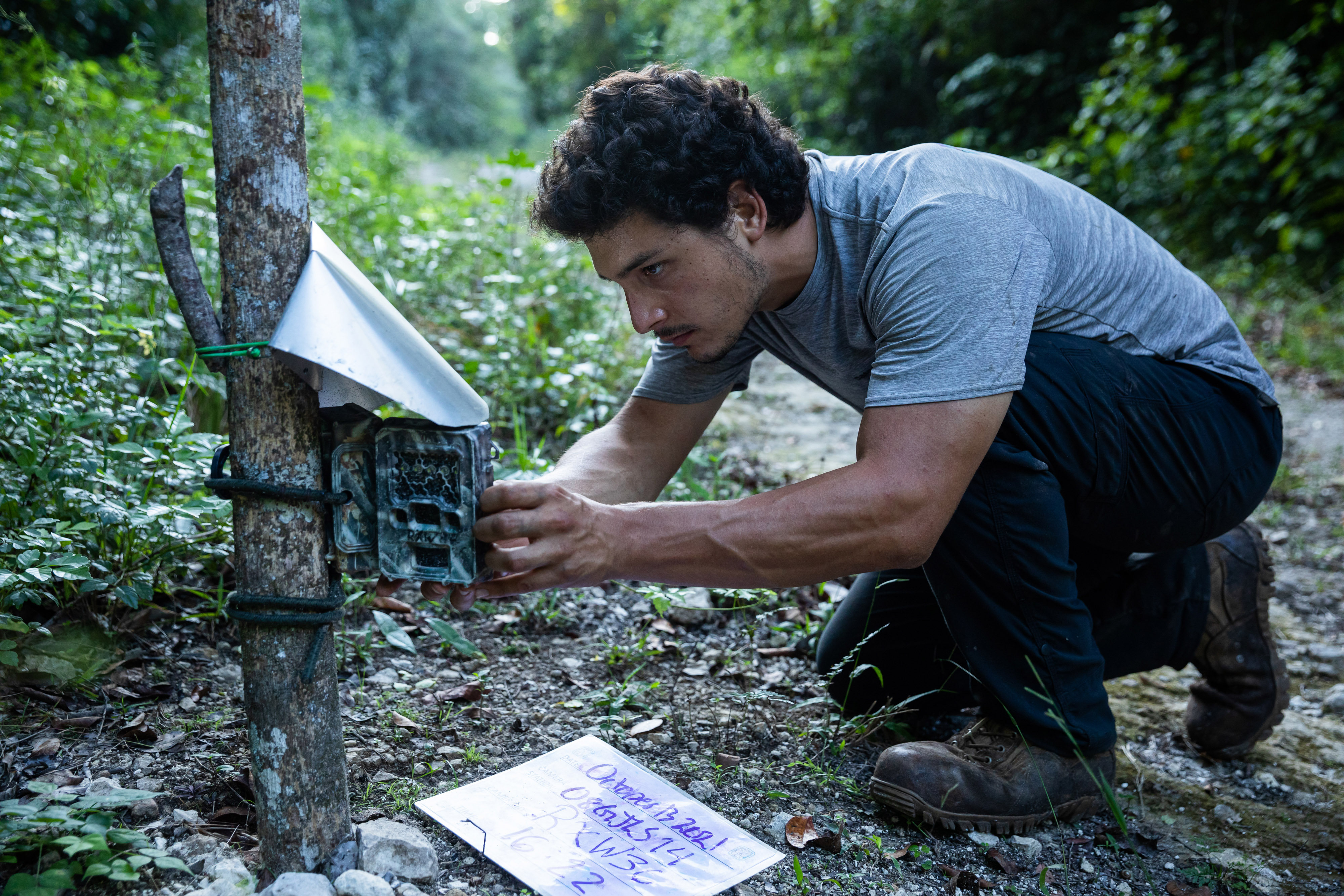 A man crouches to work on a camera fastened to a tree trunk.