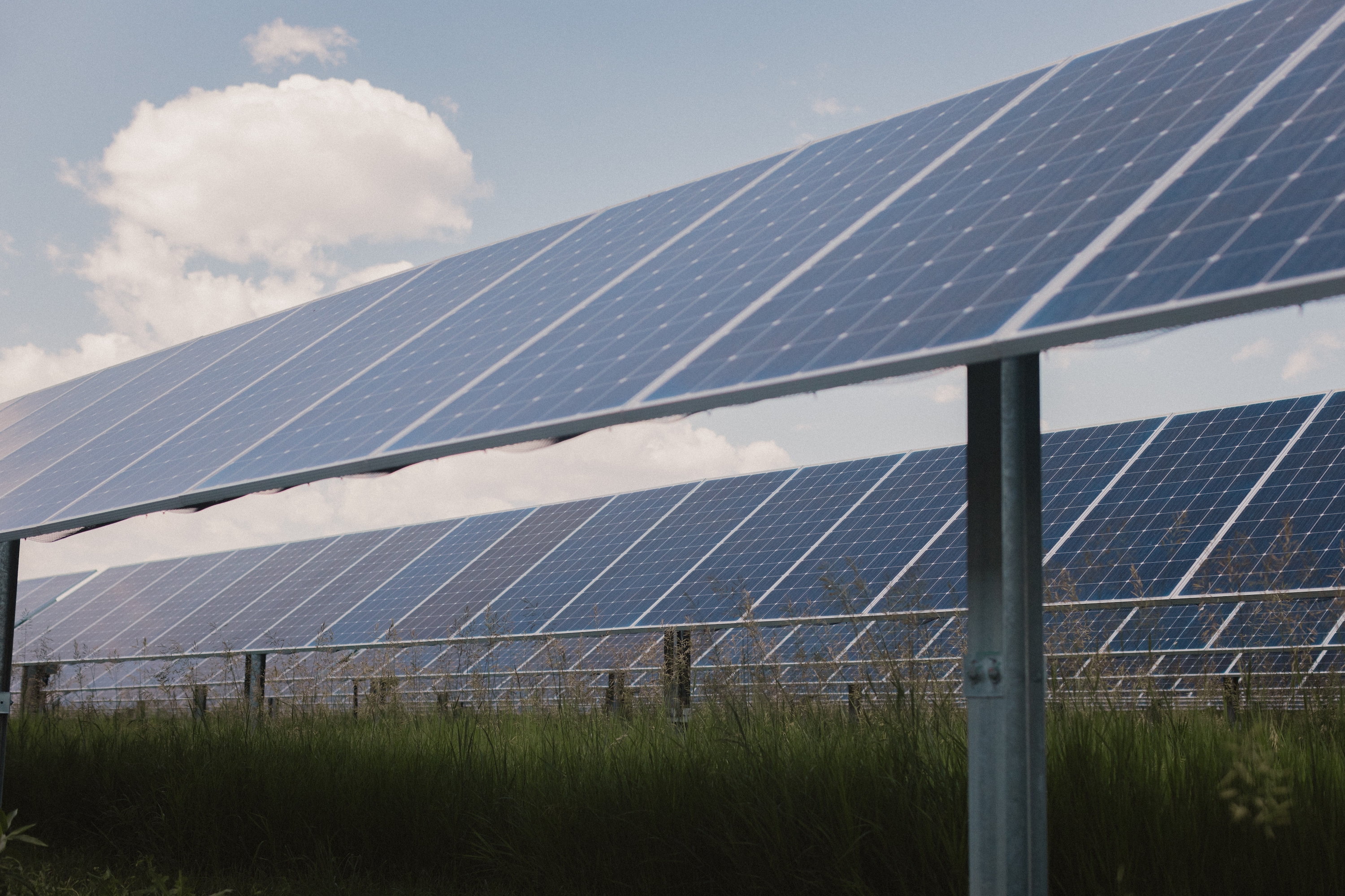 Two rows of solar panels point towards the sun.